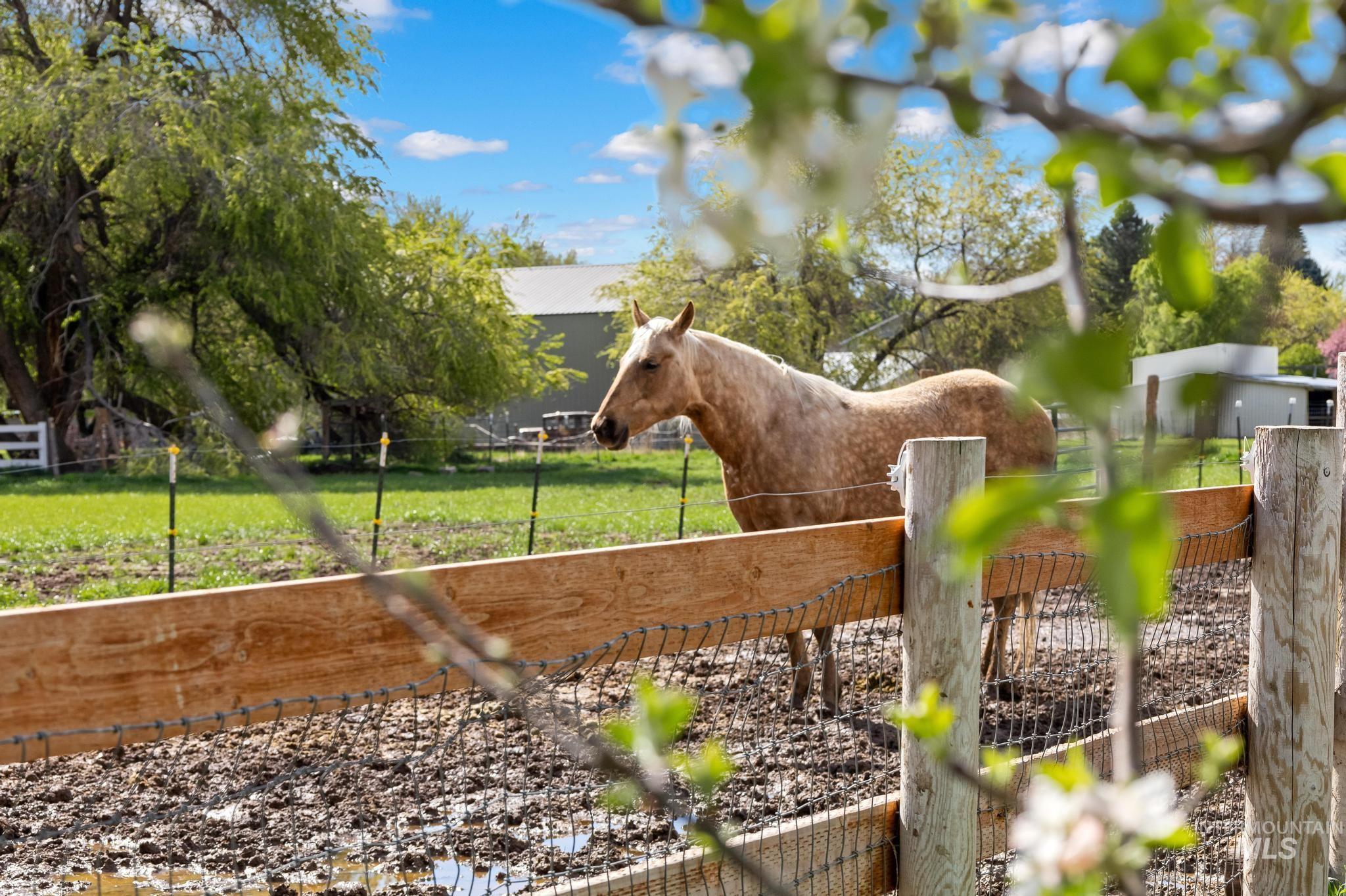 9325 W Wright St, Boise, Idaho 83709, 5 Bedrooms, 3 Bathrooms, Residential For Sale, Price $1,274,900, 98982639