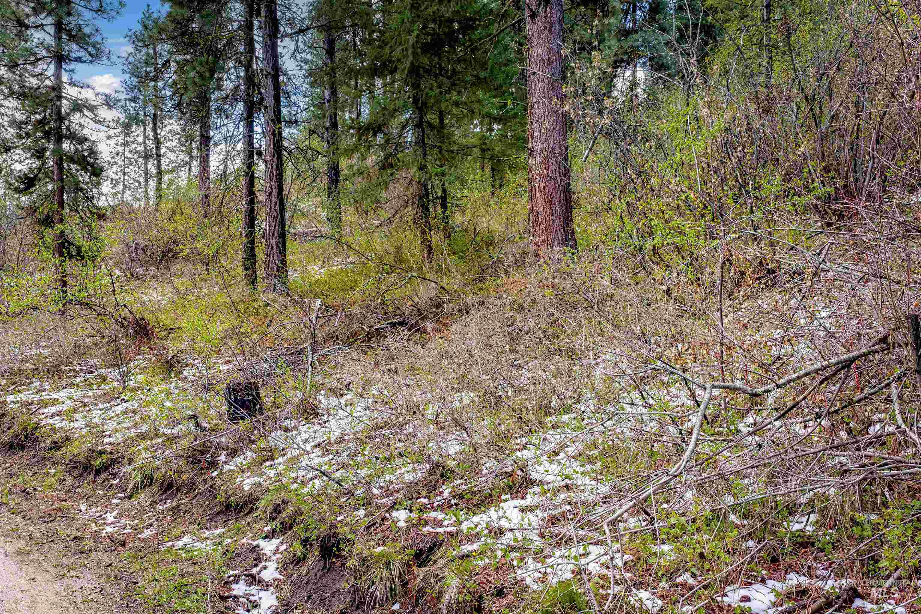 LOT #7 Turners Sub Division, Boise, Idaho 83716, Land For Sale, Price $85,000, 98982700