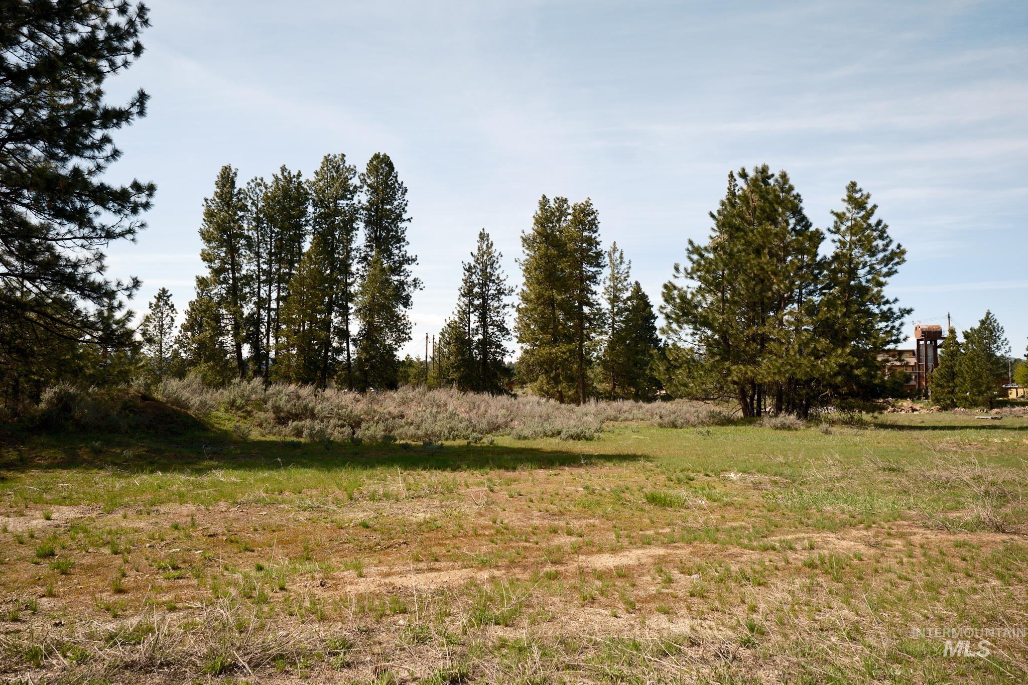 1001 S Mission, McCall, Idaho 83638, Land For Sale, Price $6,192,000,MLS 98982706