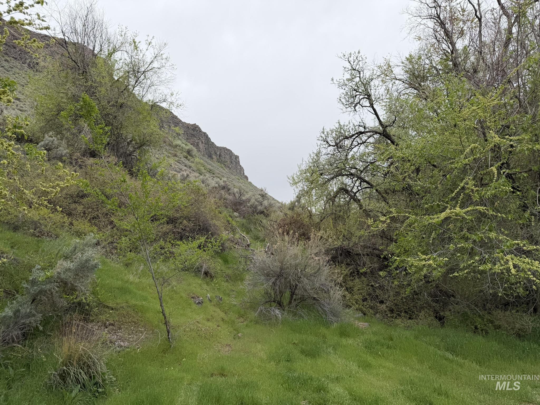 TBD River Road, Filer, Idaho 83328, Land For Sale, Price $299,000, 98982722