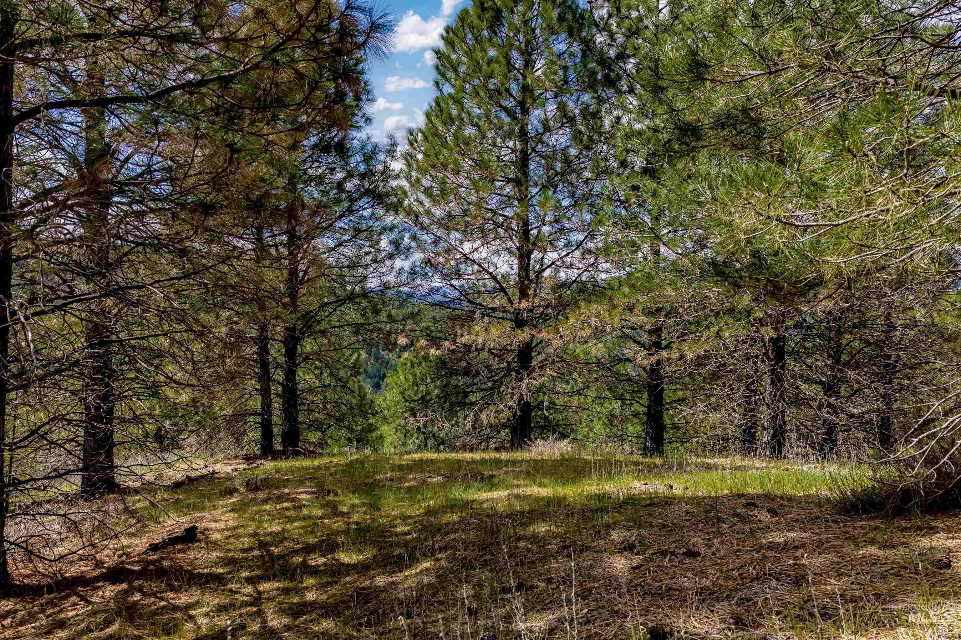 TBD Trails End Way, Boise, Idaho 83716, Land For Sale, Price $199,000, 98982729