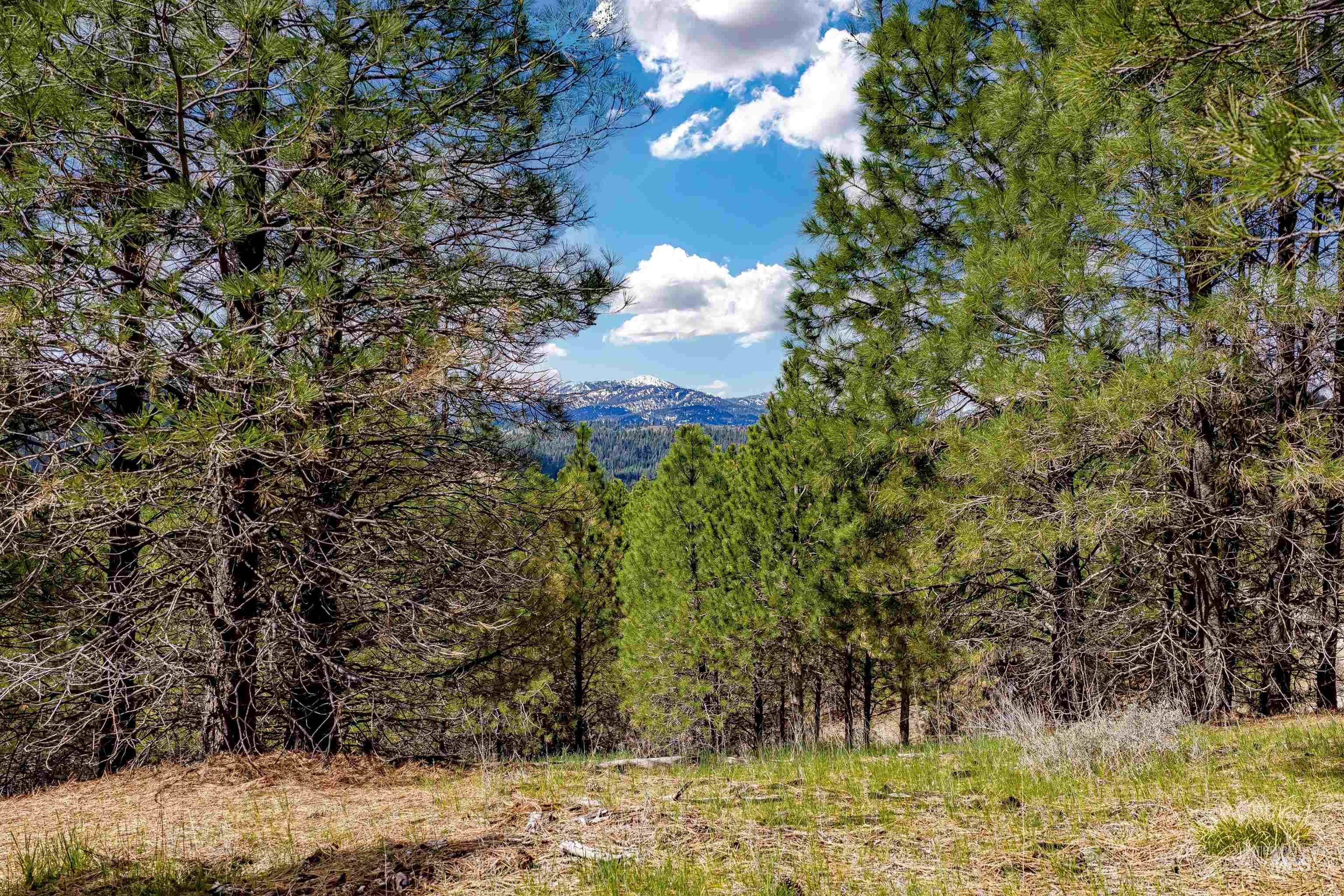 TBD Trails End Way, Boise, Idaho 83716, Land For Sale, Price $199,000, 98982729