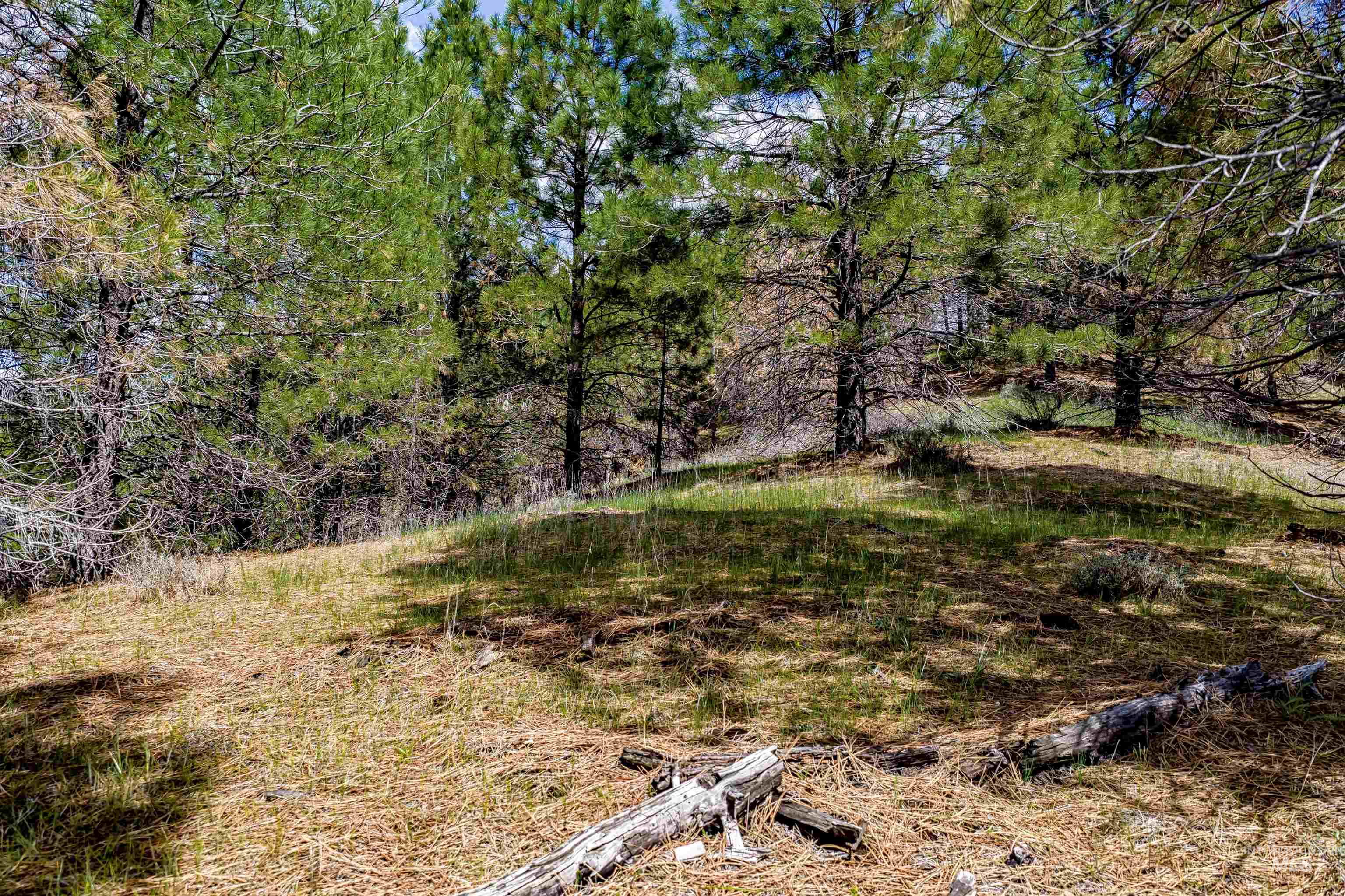 TBD Trails End Way, Boise, Idaho 83716, Land For Sale, Price $199,000, 98982729