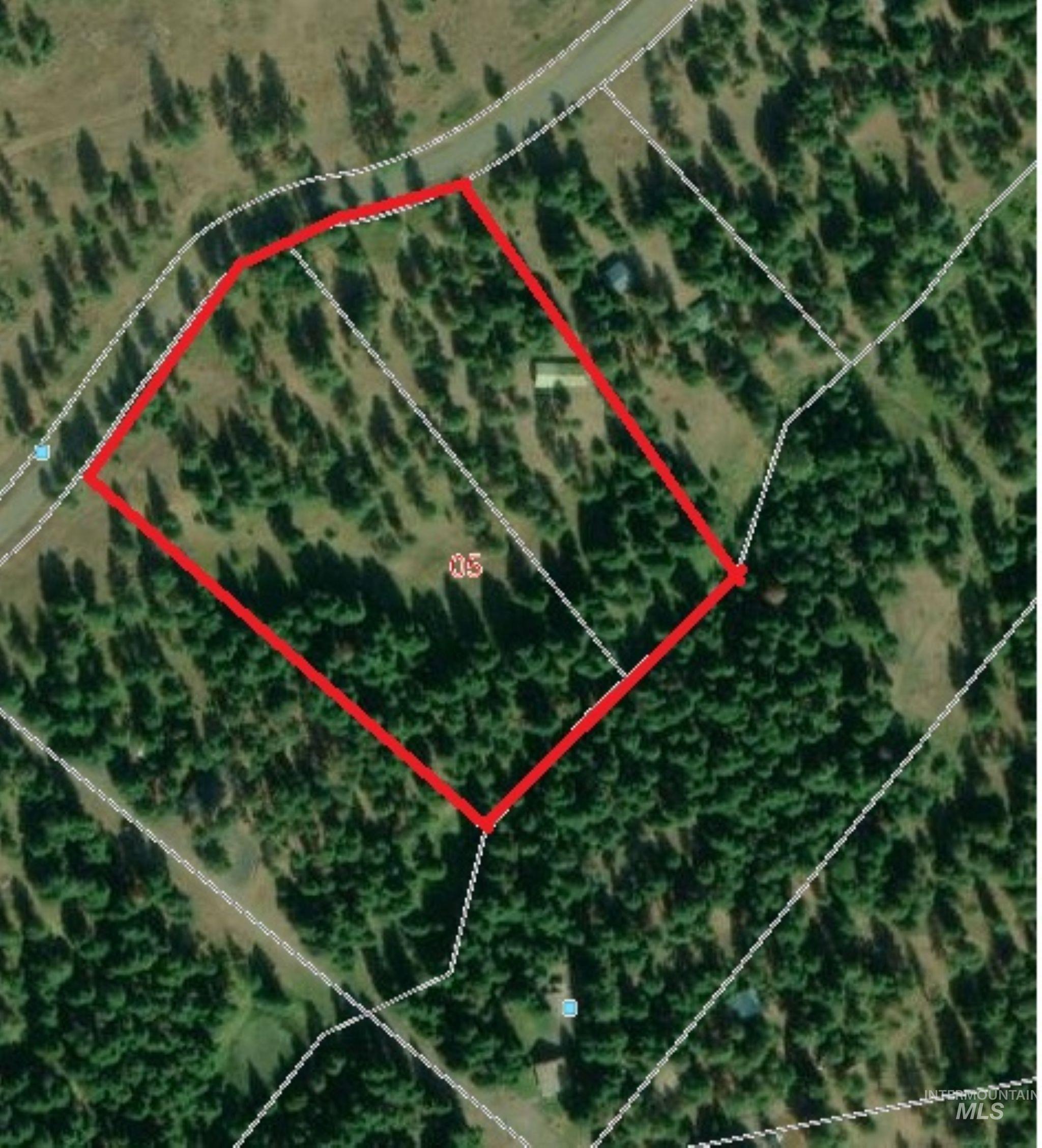 3695 W Mountain Rd, Anatone, Washington 99401, 5 Bedrooms, 1 Bathroom, Residential For Sale, Price $319,000,MLS 98982756