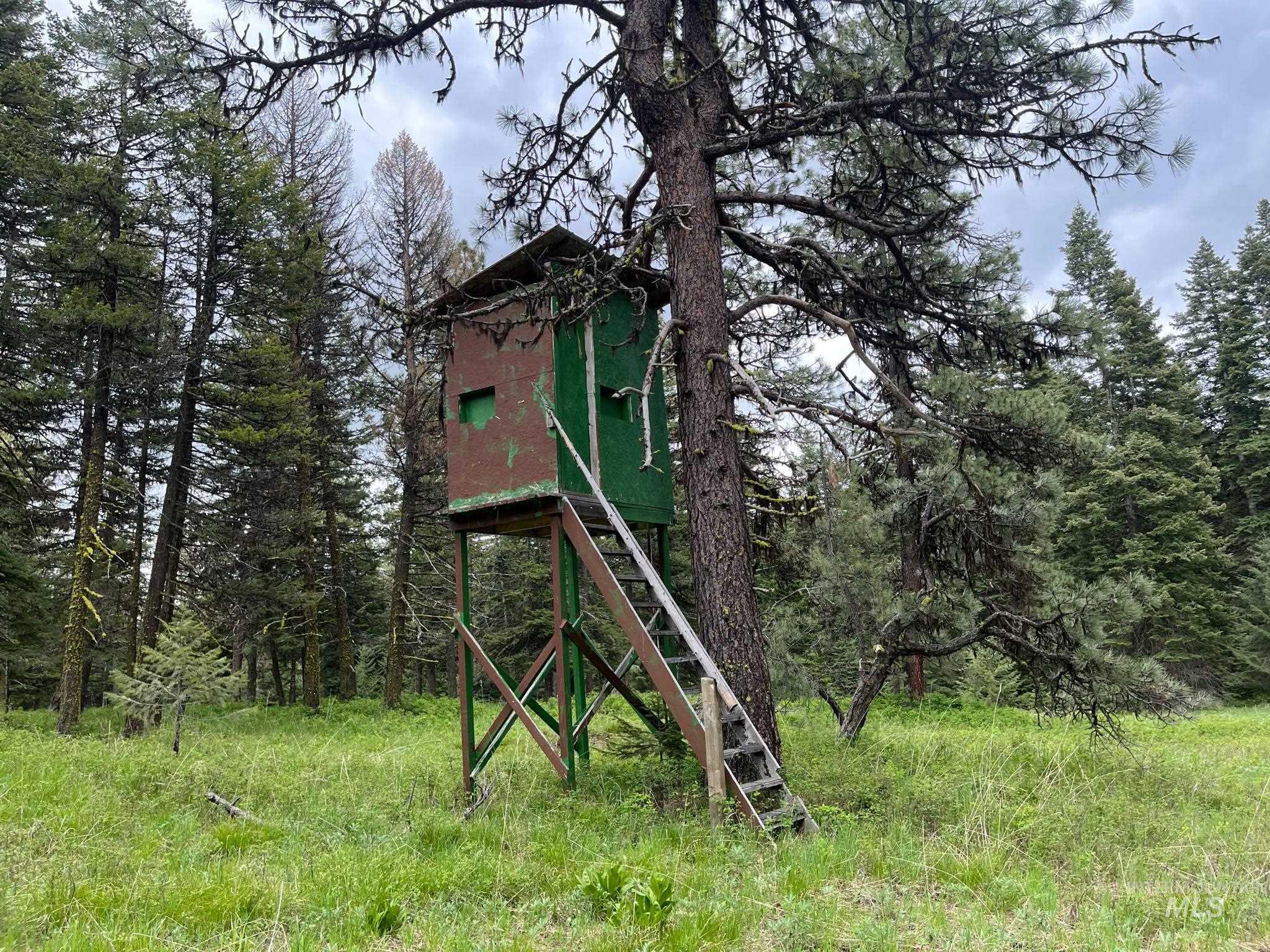 3695 W Mountain Rd, Anatone, Washington 99401, 5 Bedrooms, 1 Bathroom, Residential For Sale, Price $319,000,MLS 98982756