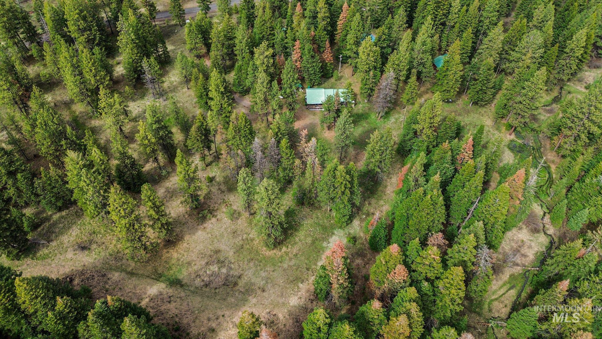 3695 W Mountain Rd, Anatone, Washington 99401, 5 Bedrooms, 1 Bathroom, Residential For Sale, Price $319,000,MLS 98982756