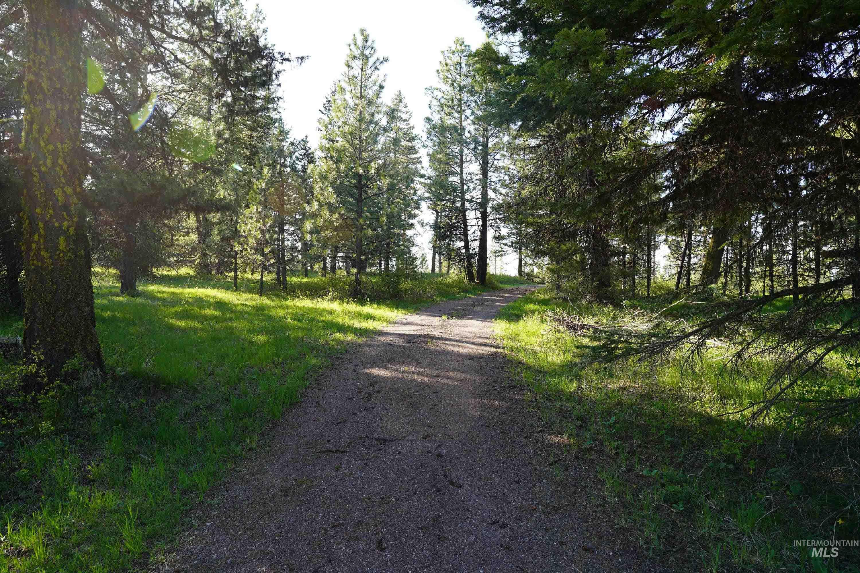 3695 W Mountain Rd, Anatone, Washington 99401, 5 Bedrooms, 1 Bathroom, Residential For Sale, Price $319,000,MLS 98982756