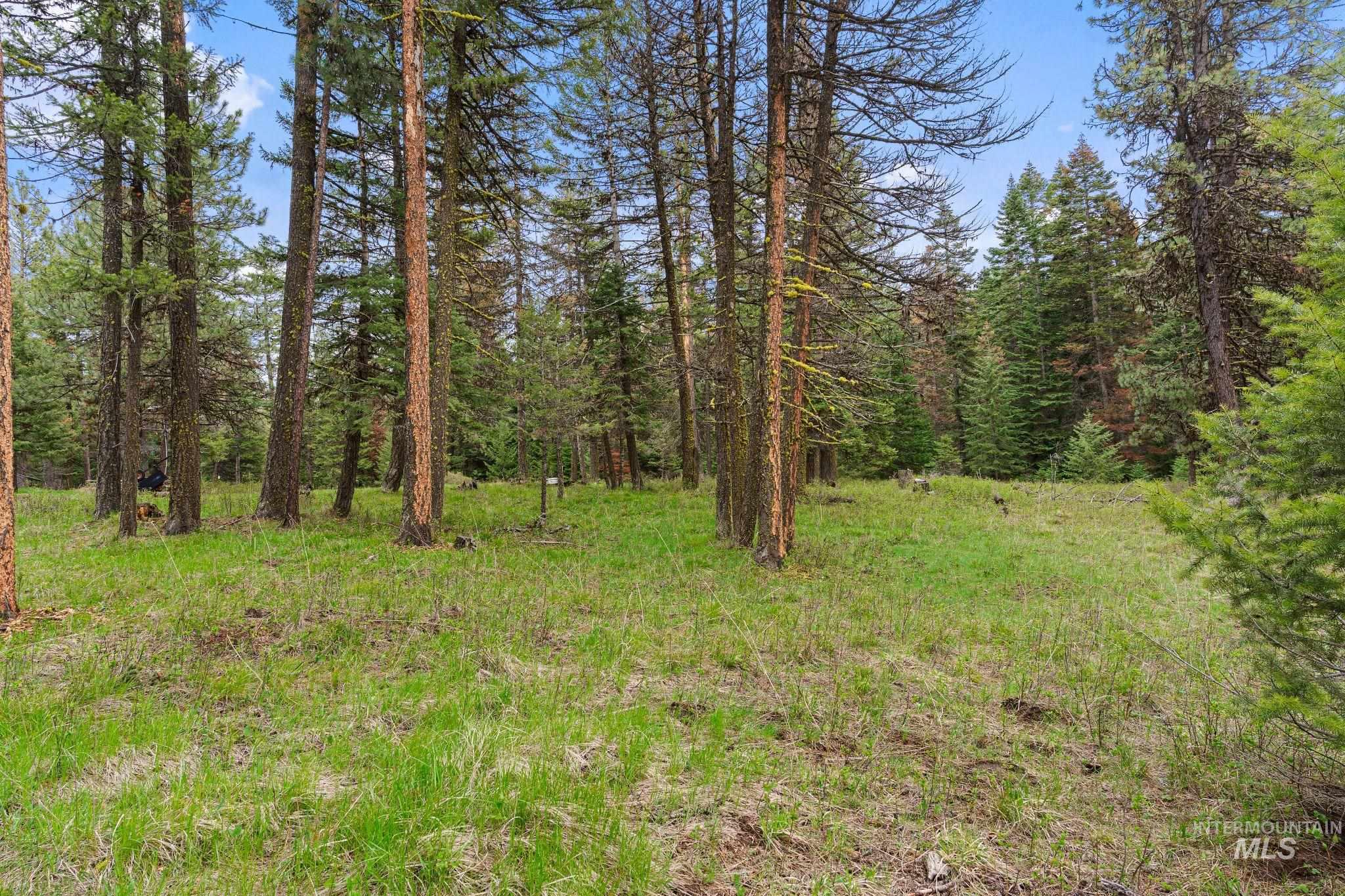 3695 W Mountain Rd, Anatone, Washington 99401, 5 Bedrooms, 1 Bathroom, Residential For Sale, Price $319,000,MLS 98982756