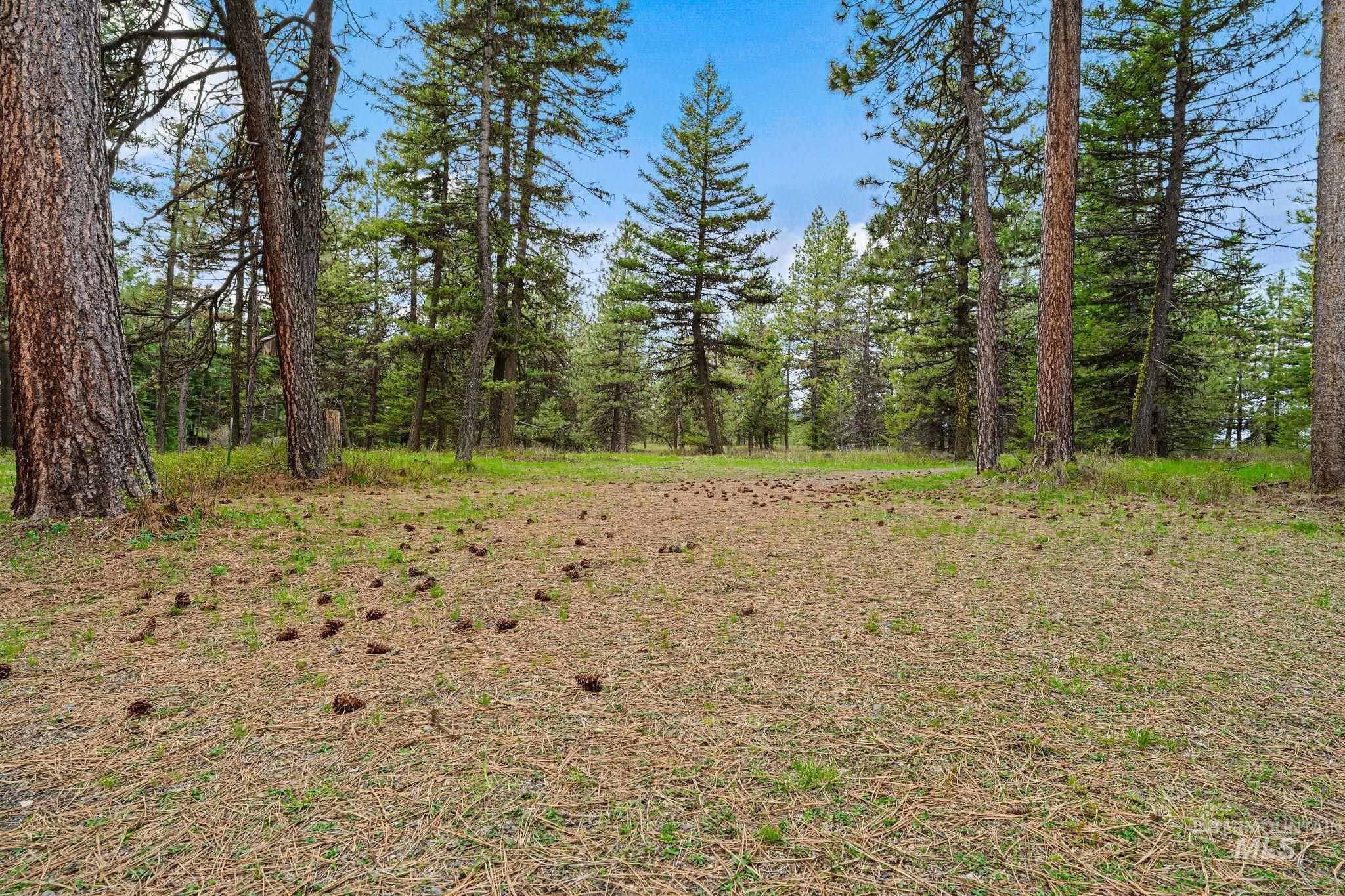 3695 W Mountain Rd, Anatone, Washington 99401, 5 Bedrooms, 1 Bathroom, Residential For Sale, Price $319,000,MLS 98982756