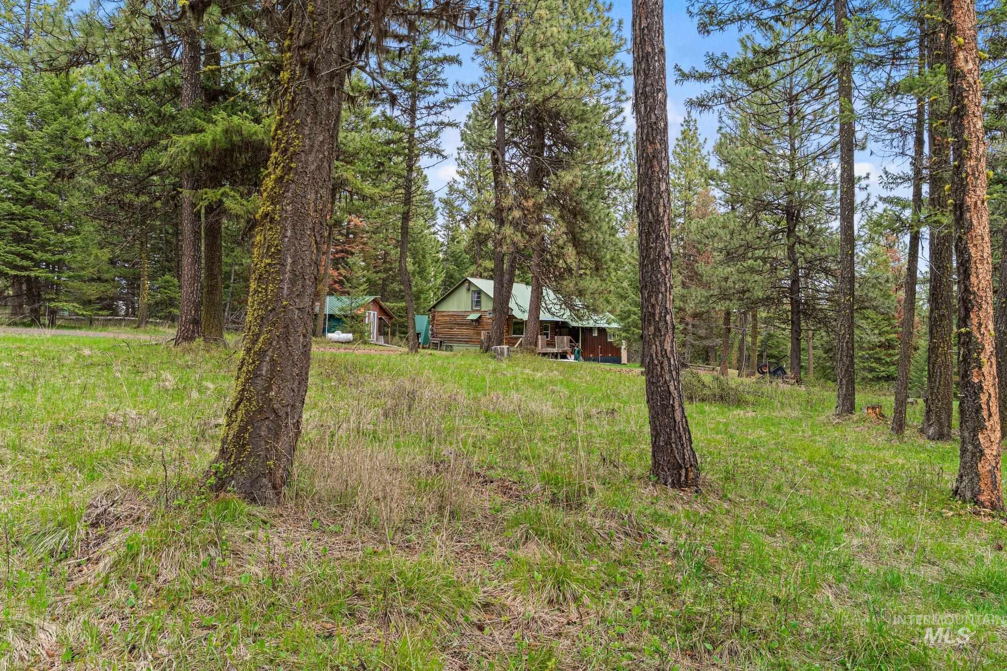 3695 W Mountain Rd, Anatone, Washington 99401, 5 Bedrooms, 1 Bathroom, Residential For Sale, Price $319,000,MLS 98982756