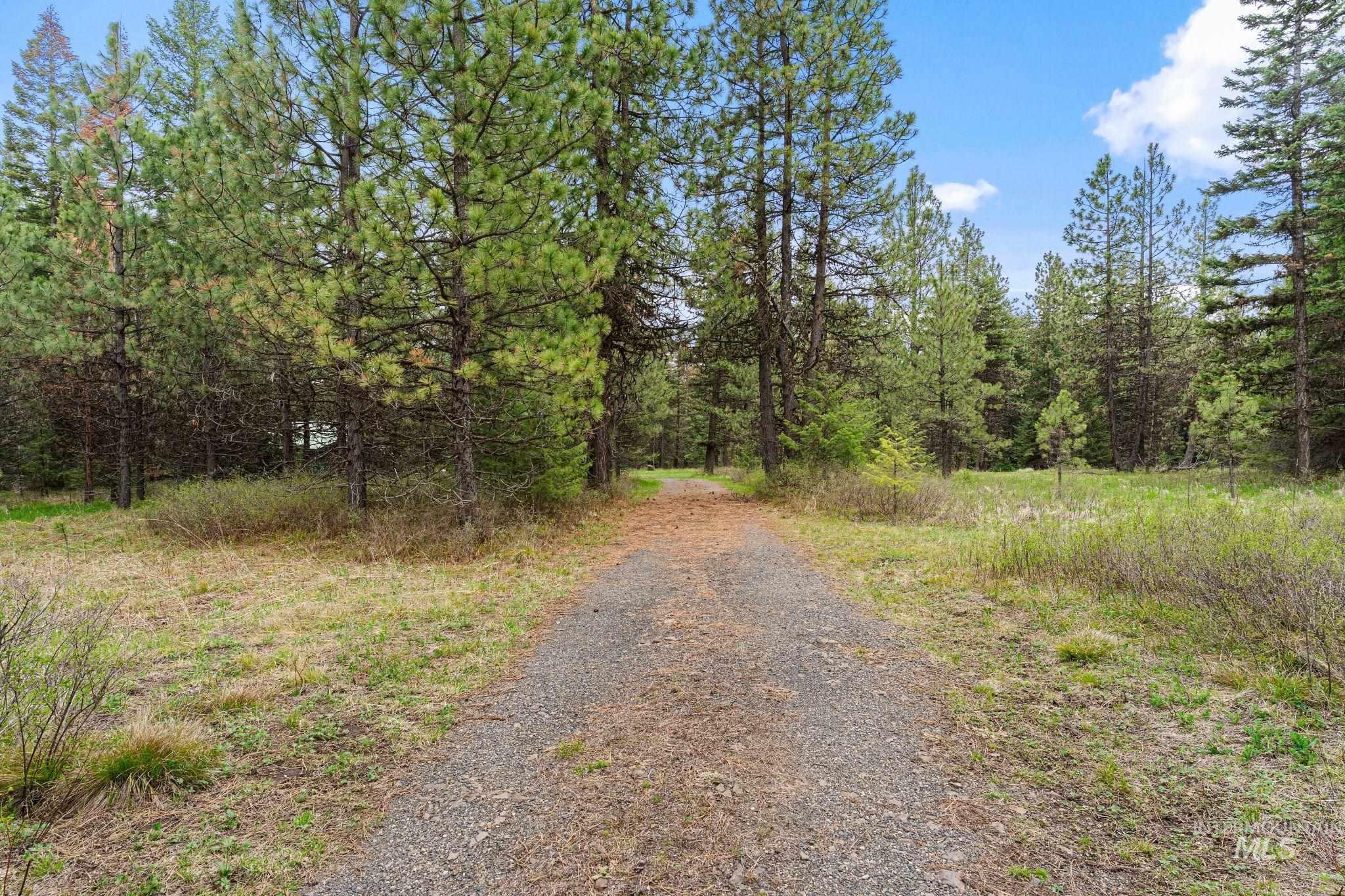 3695 W Mountain Rd, Anatone, Washington 99401, 5 Bedrooms, 1 Bathroom, Residential For Sale, Price $319,000,MLS 98982756