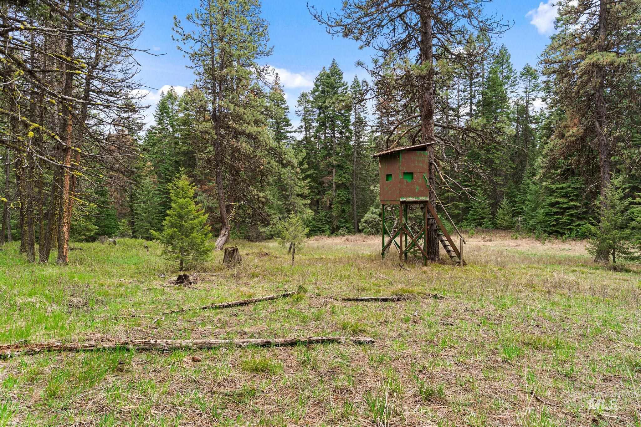 3695 W Mountain Rd, Anatone, Washington 99401, 5 Bedrooms, 1 Bathroom, Residential For Sale, Price $319,000,MLS 98982756