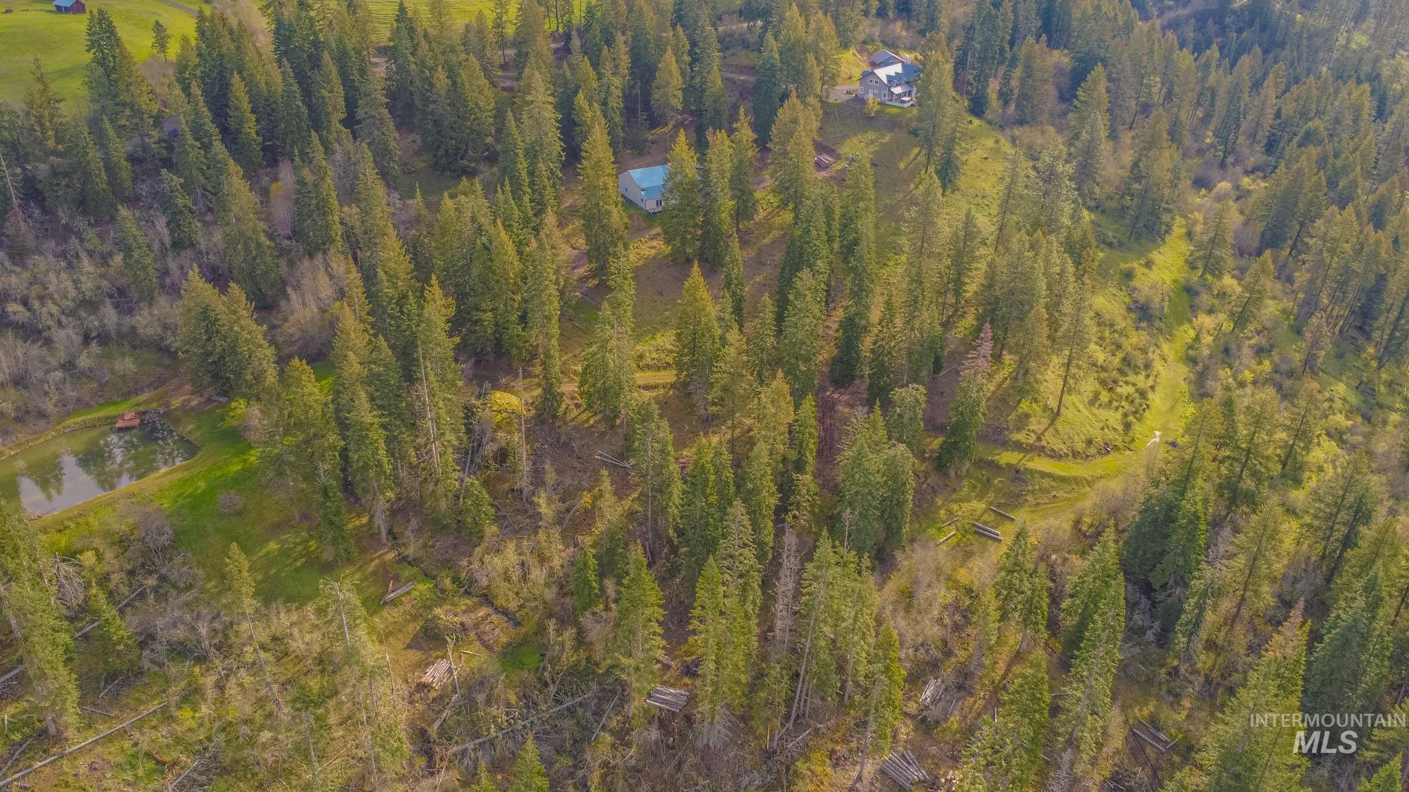 237 Old Dent Rd, Orofino, Idaho 83544, 3 Bedrooms, 2.5 Bathrooms, Residential For Sale, Price $1,475,000, 98982784
