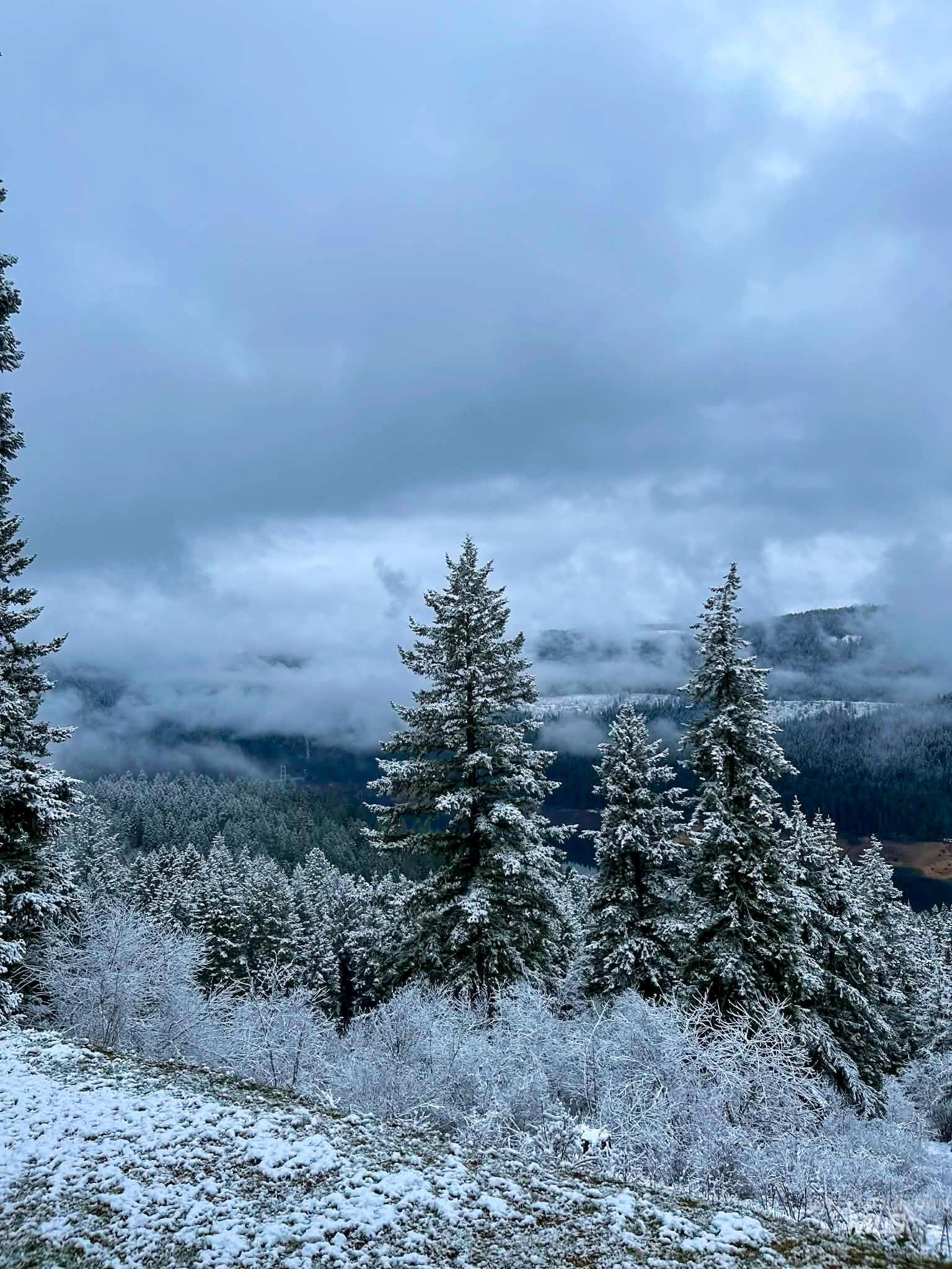 237 Old Dent Rd, Orofino, Idaho 83544, 3 Bedrooms, 2.5 Bathrooms, Residential For Sale, Price $1,475,000, 98982784