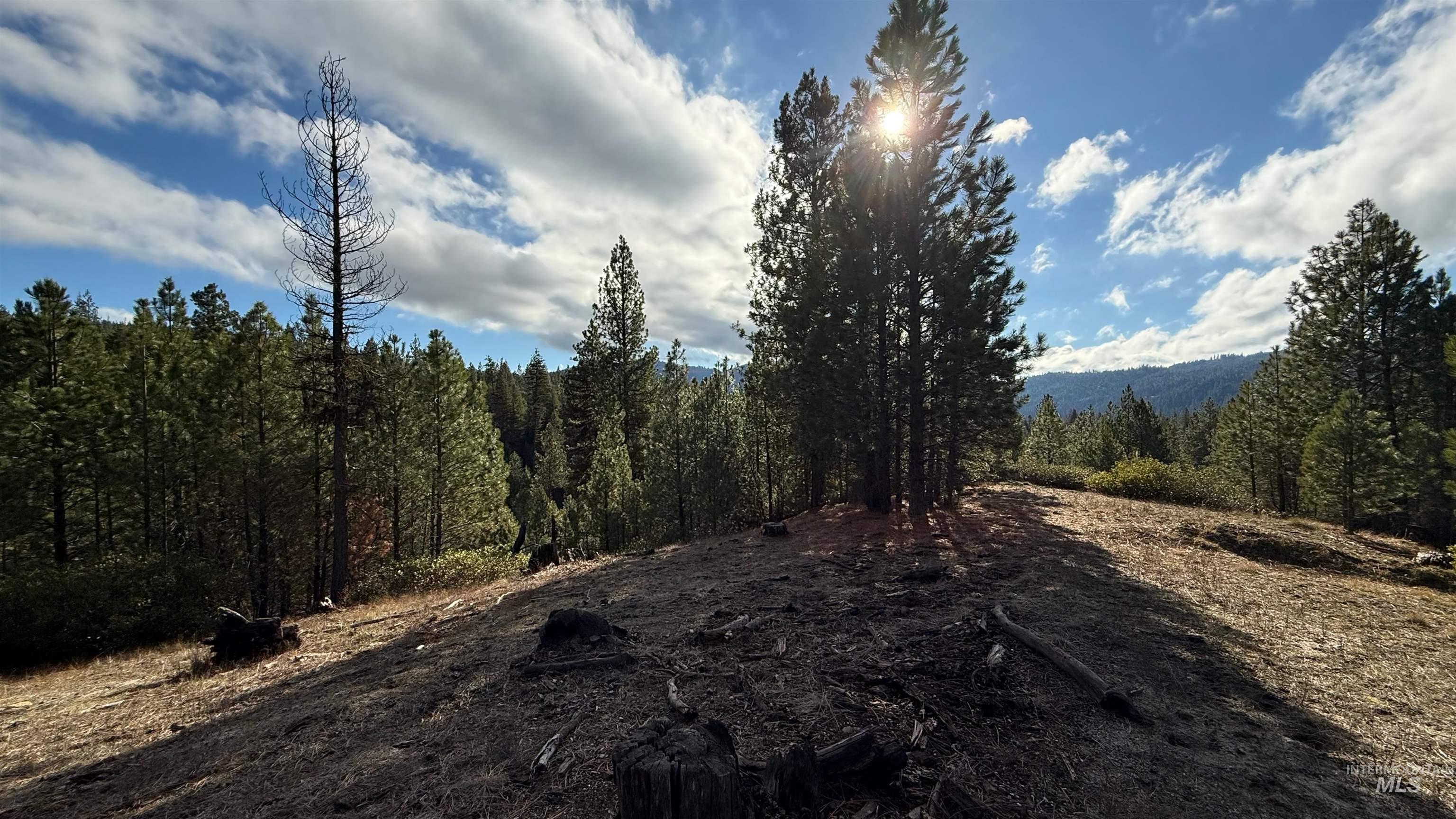 20.01 ac TBD Smith Ferry Dr, Smiths Ferry, Idaho 83611, Land For Sale, Price $375,000, 98982786