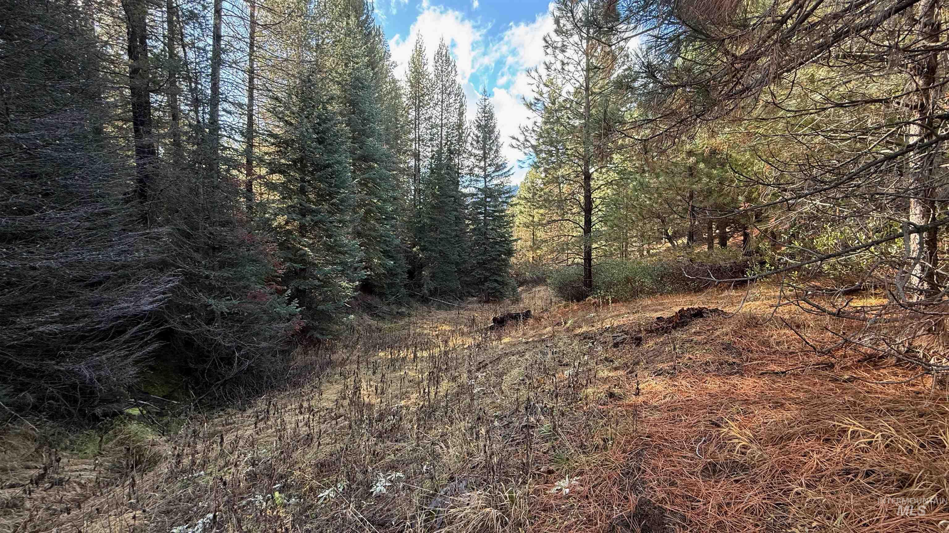 20.01 ac TBD Smith Ferry Dr, Smiths Ferry, Idaho 83611, Land For Sale, Price $375,000, 98982786