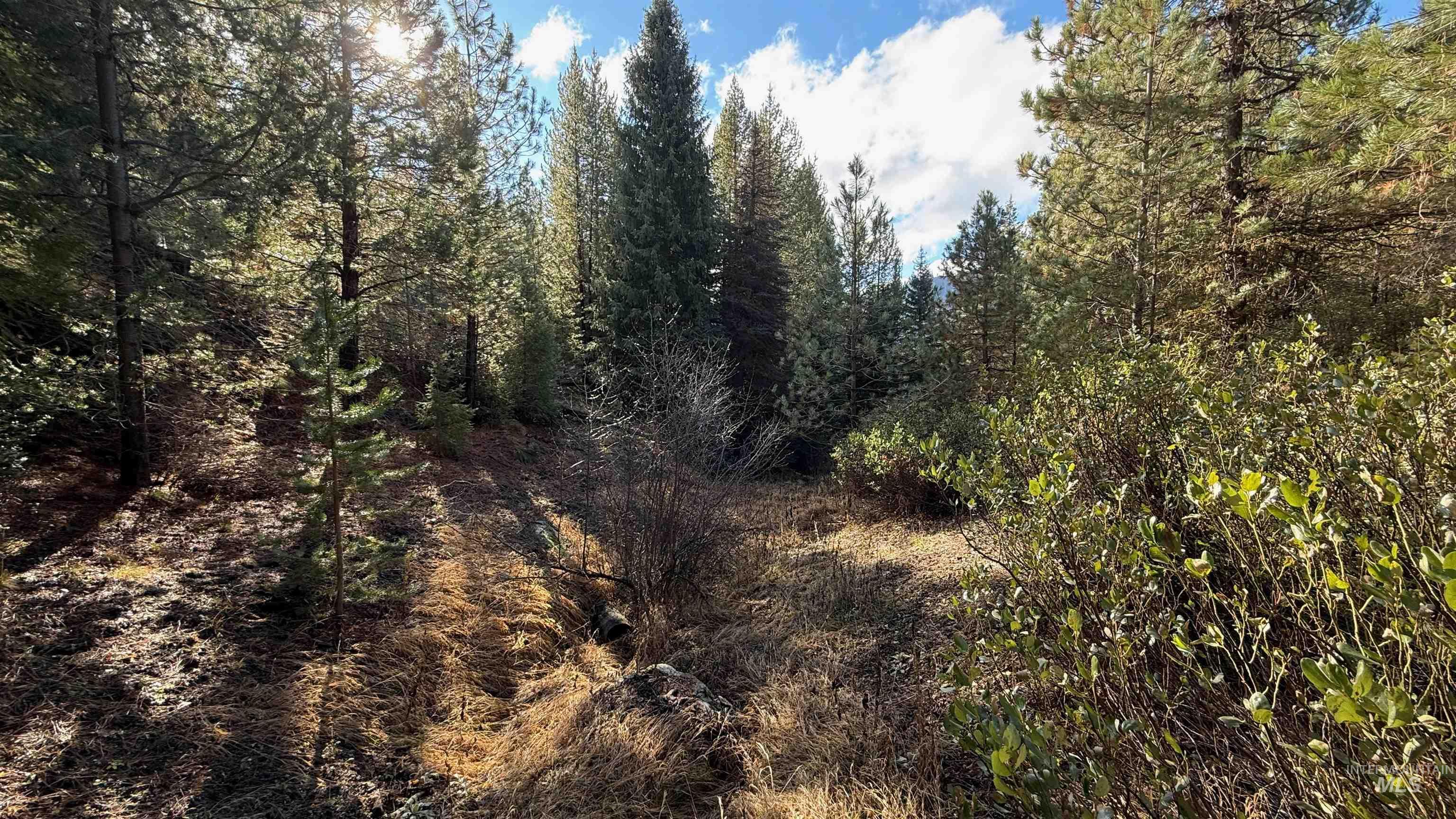 20.01 ac TBD Smith Ferry Dr, Smiths Ferry, Idaho 83611, Land For Sale, Price $375,000, 98982786