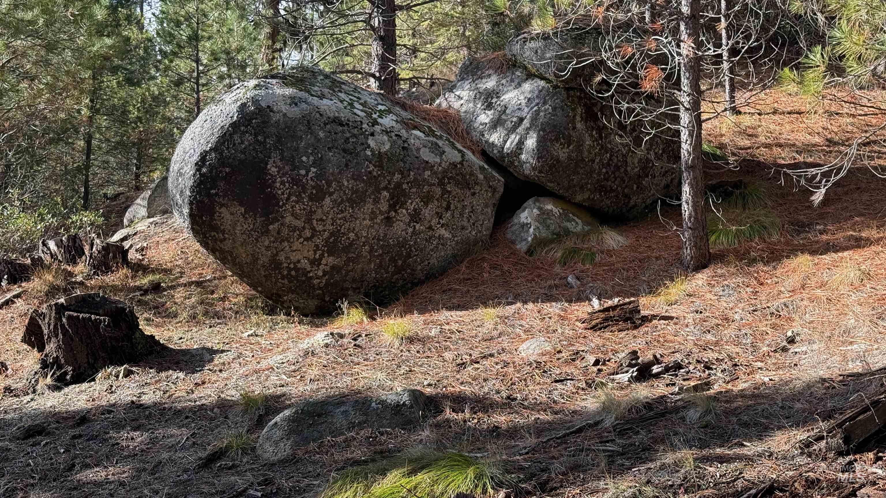 20.01 ac TBD Smith Ferry Dr, Smiths Ferry, Idaho 83611, Land For Sale, Price $375,000, 98982786