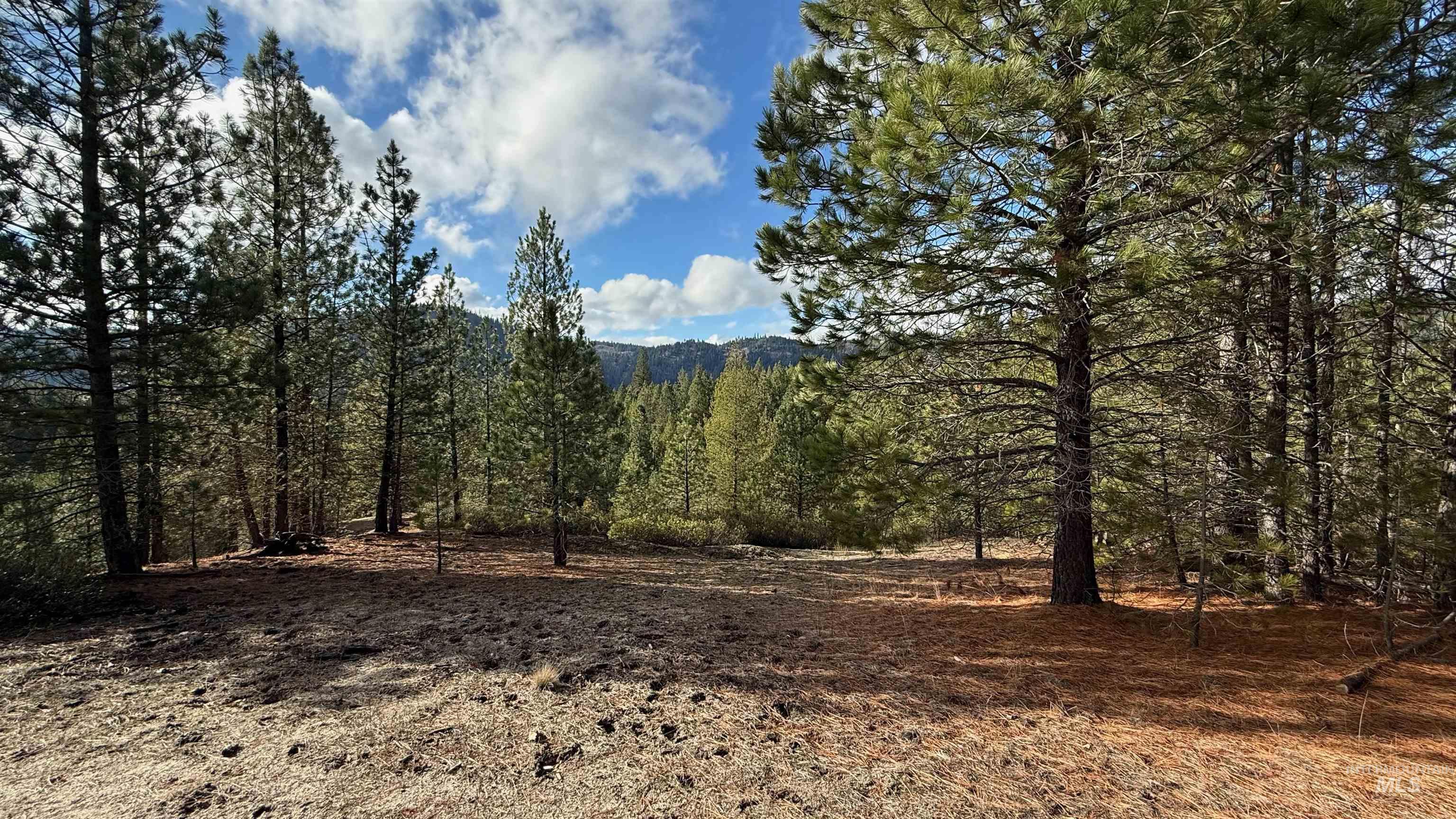 20.01 ac TBD Smith Ferry Dr, Smiths Ferry, Idaho 83611, Land For Sale, Price $375,000, 98982786