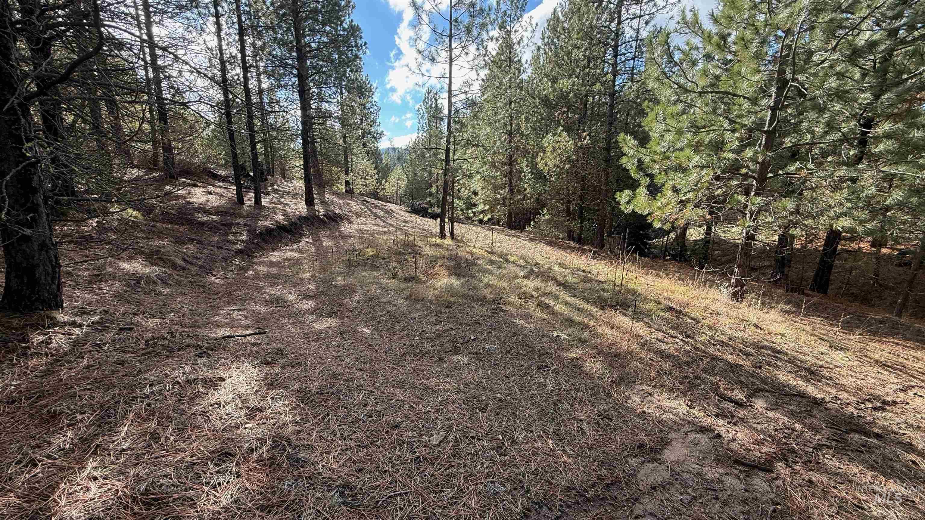 20.01 ac TBD Smith Ferry Dr, Smiths Ferry, Idaho 83611, Land For Sale, Price $375,000, 98982786