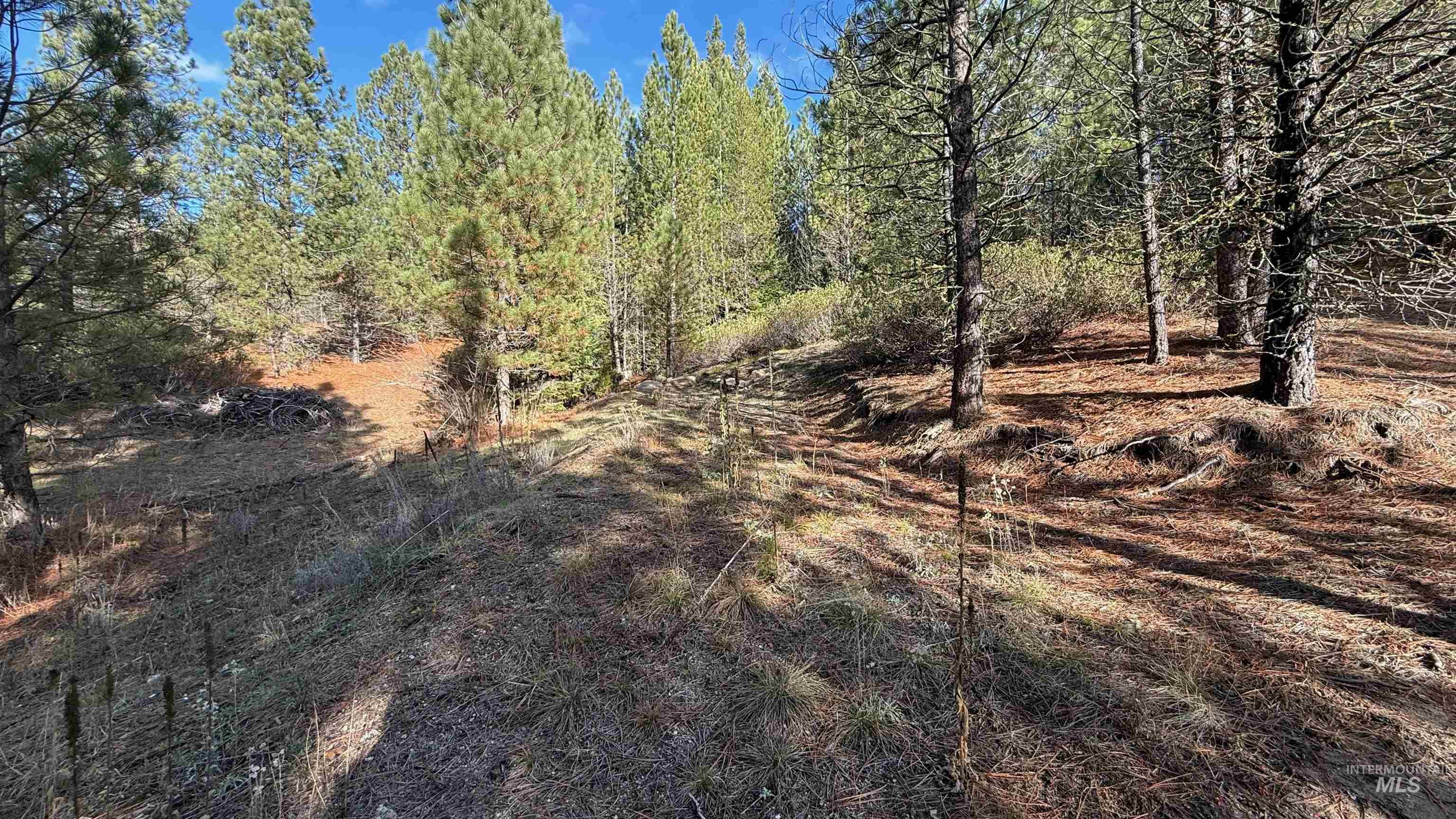 20.01 ac TBD Smith Ferry Dr, Smiths Ferry, Idaho 83611, Land For Sale, Price $375,000, 98982786