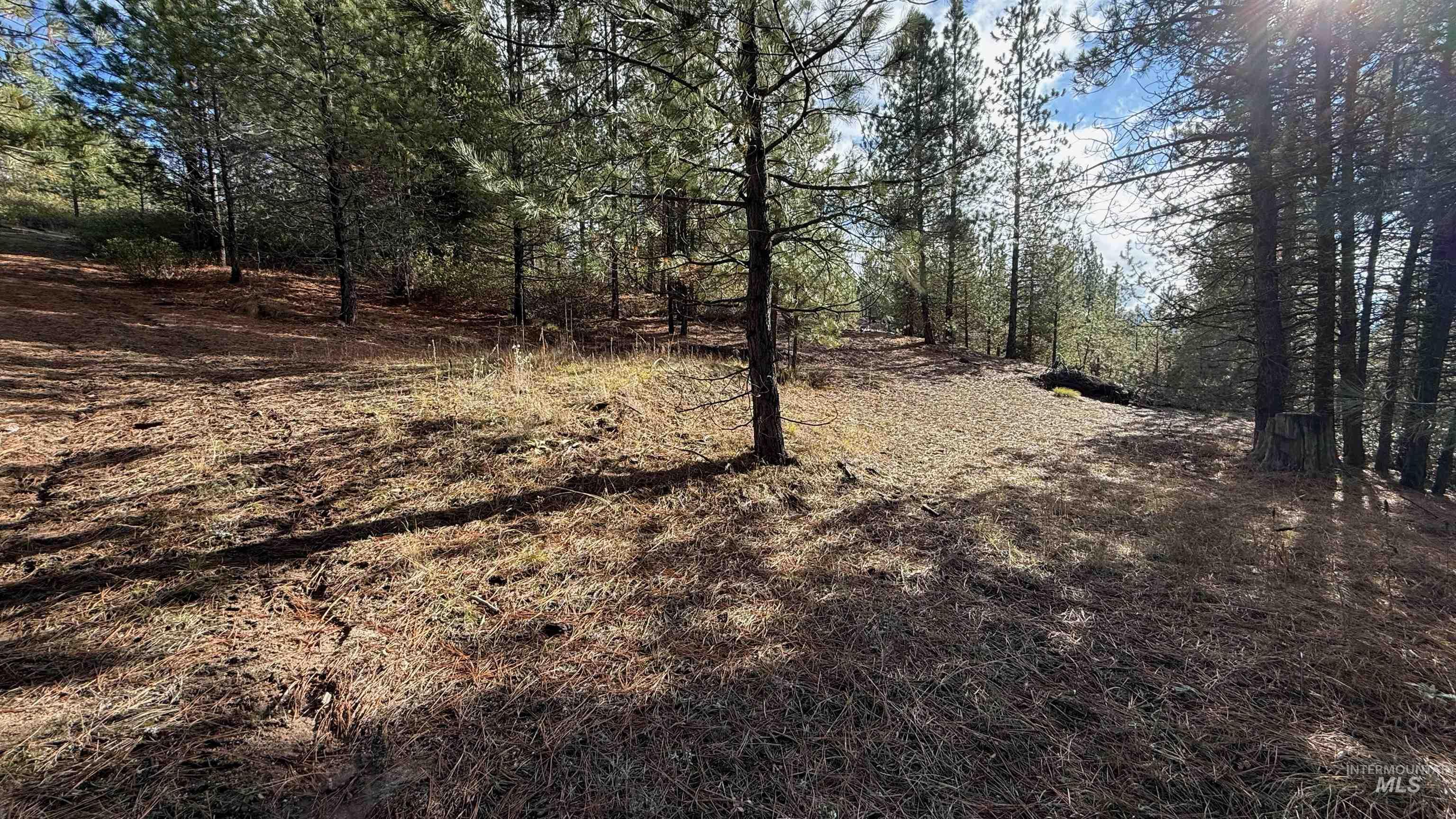 20.01 ac TBD Smith Ferry Dr, Smiths Ferry, Idaho 83611, Land For Sale, Price $375,000, 98982786