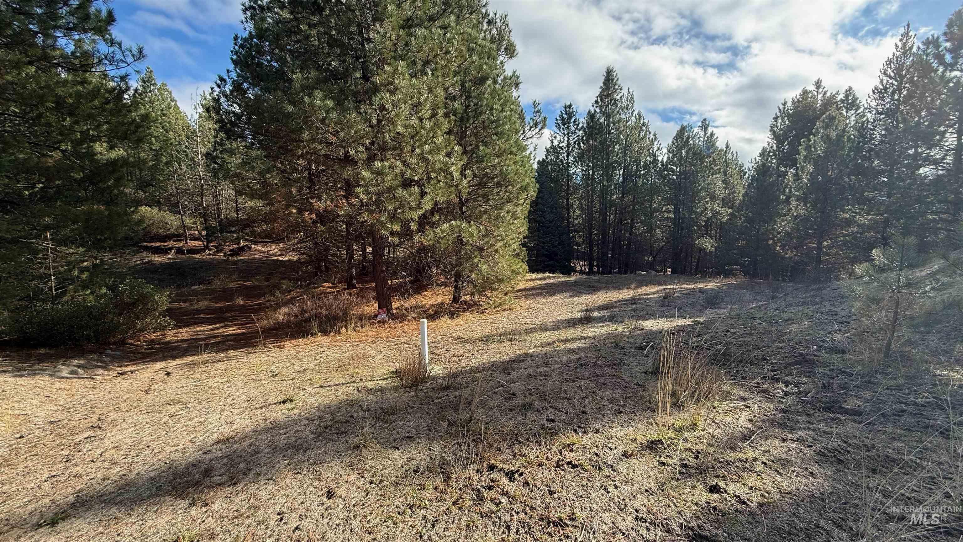 20.01 ac TBD Smith Ferry Dr, Smiths Ferry, Idaho 83611, Land For Sale, Price $375,000, 98982786