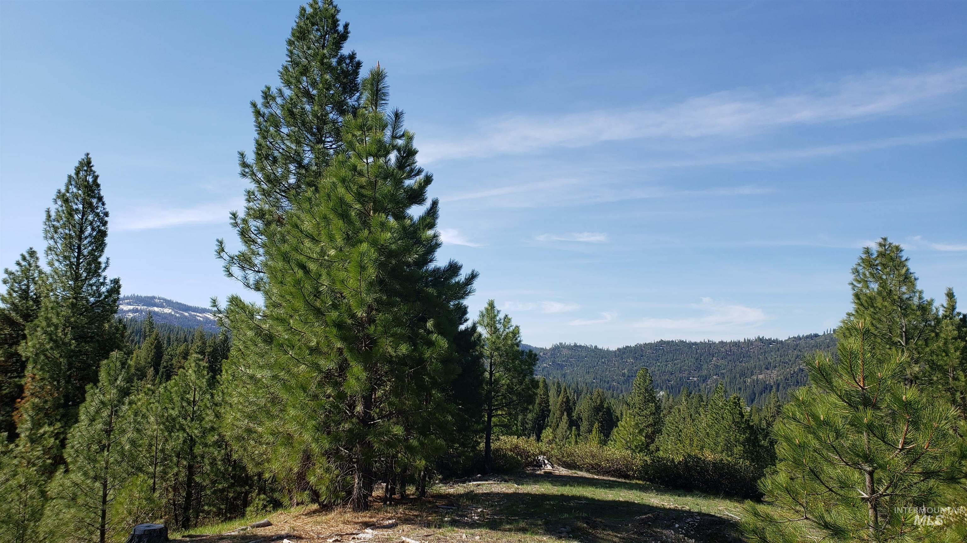 20.01 ac TBD Smith Ferry Dr, Smiths Ferry, Idaho 83611, Land For Sale, Price $375,000, 98982786
