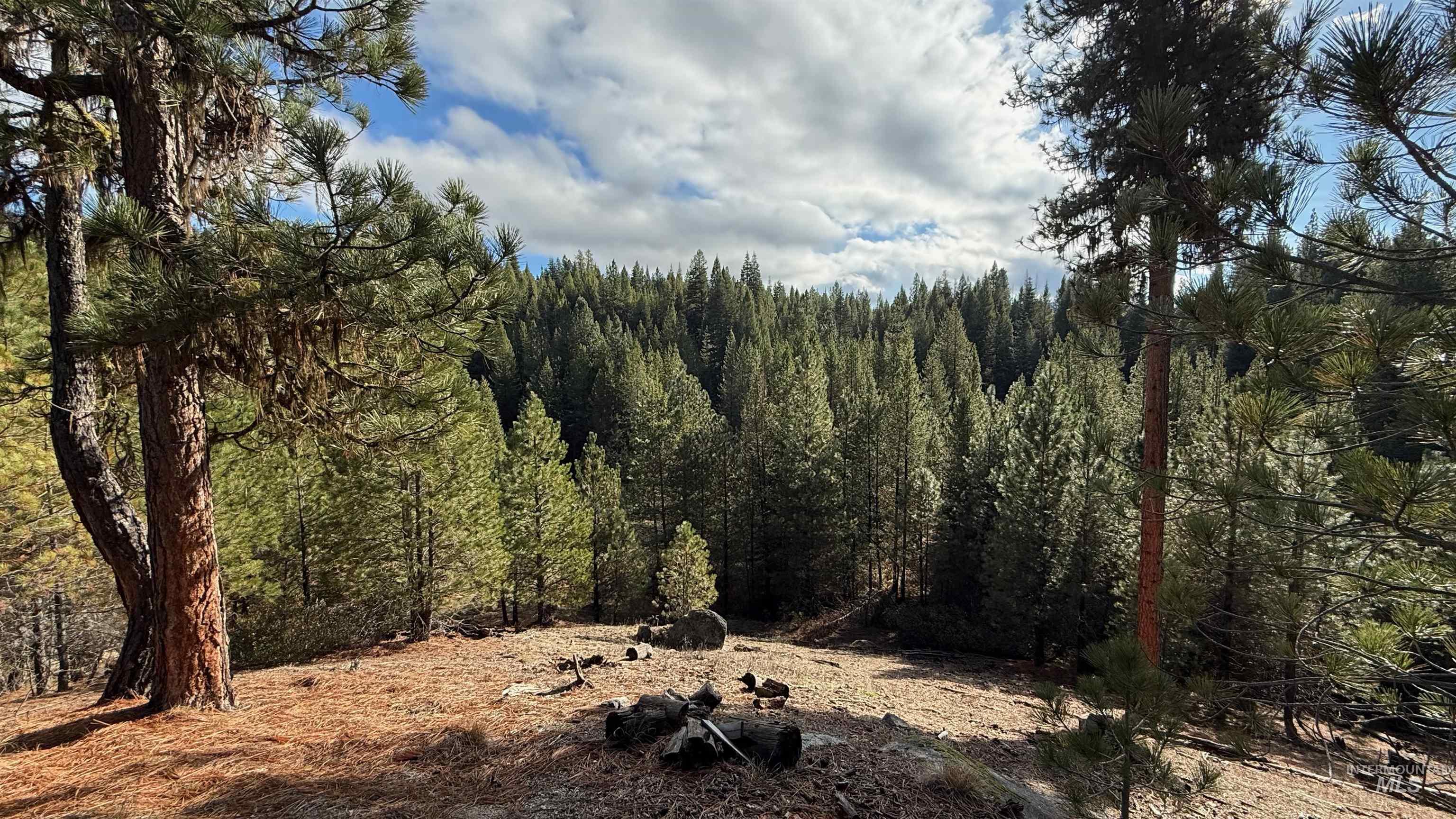 20.01 ac TBD Smith Ferry Dr, Smiths Ferry, Idaho 83611, Land For Sale, Price $375,000, 98982786