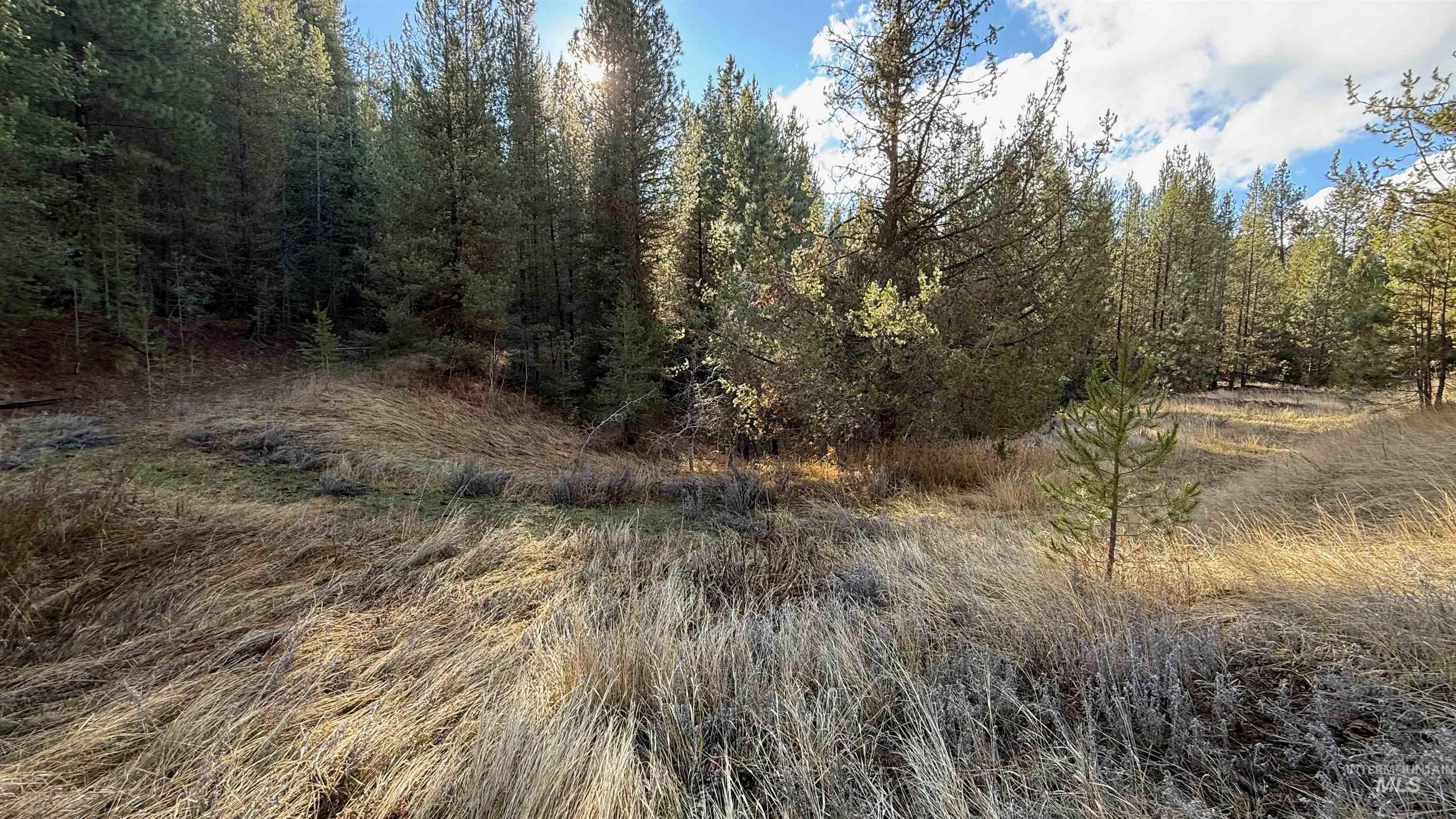20.01 ac TBD Smith Ferry Dr, Smiths Ferry, Idaho 83611, Land For Sale, Price $375,000,MLS 98982786
