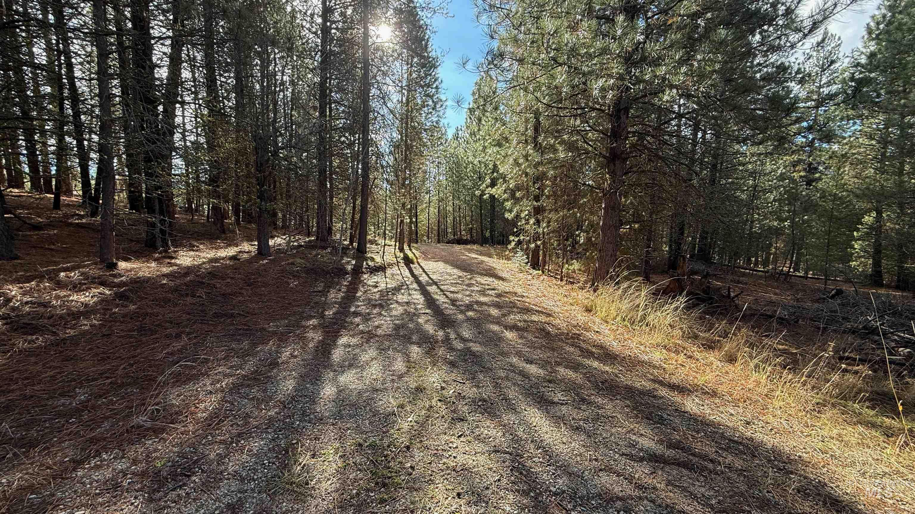 20.01 ac TBD Smith Ferry Dr, Smiths Ferry, Idaho 83611, Land For Sale, Price $375,000, 98982786