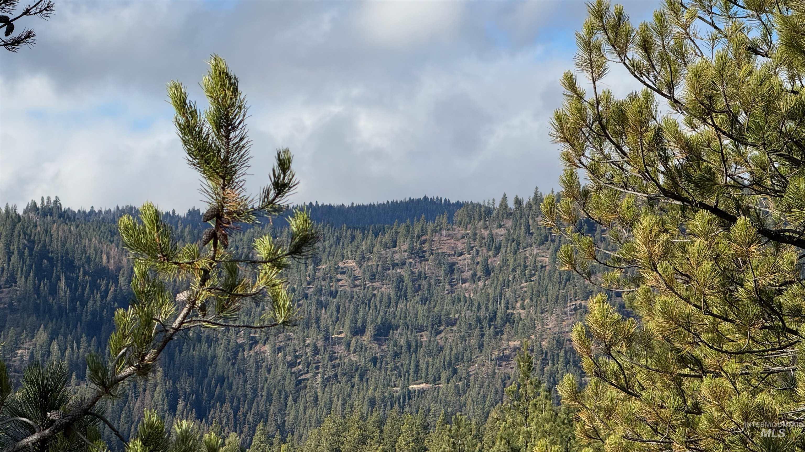 20.01 ac TBD Smith Ferry Dr, Smiths Ferry, Idaho 83611, Land For Sale, Price $375,000, 98982786