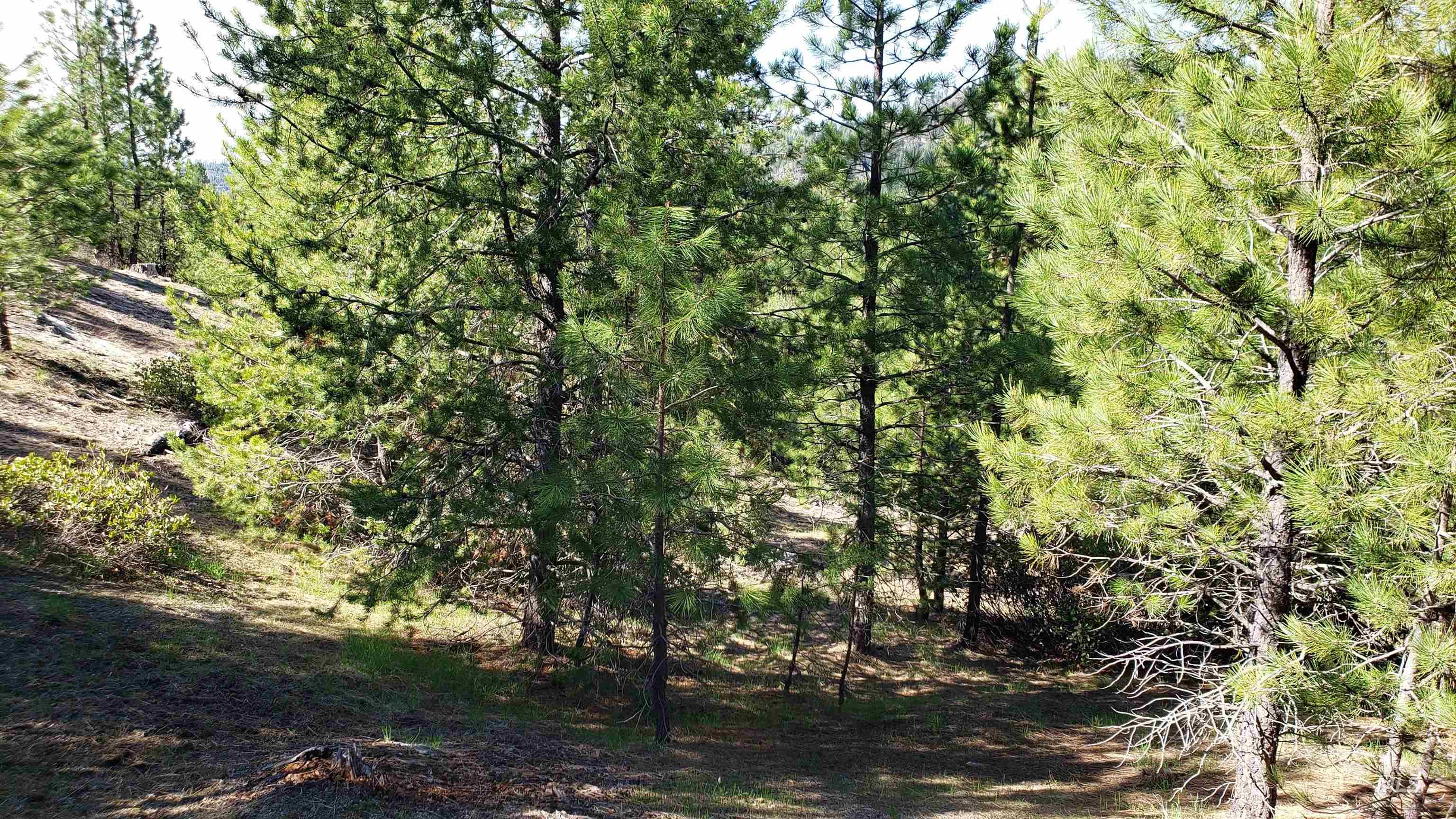 20.01 ac TBD Smith Ferry Dr, Smiths Ferry, Idaho 83611, Land For Sale, Price $375,000, 98982786