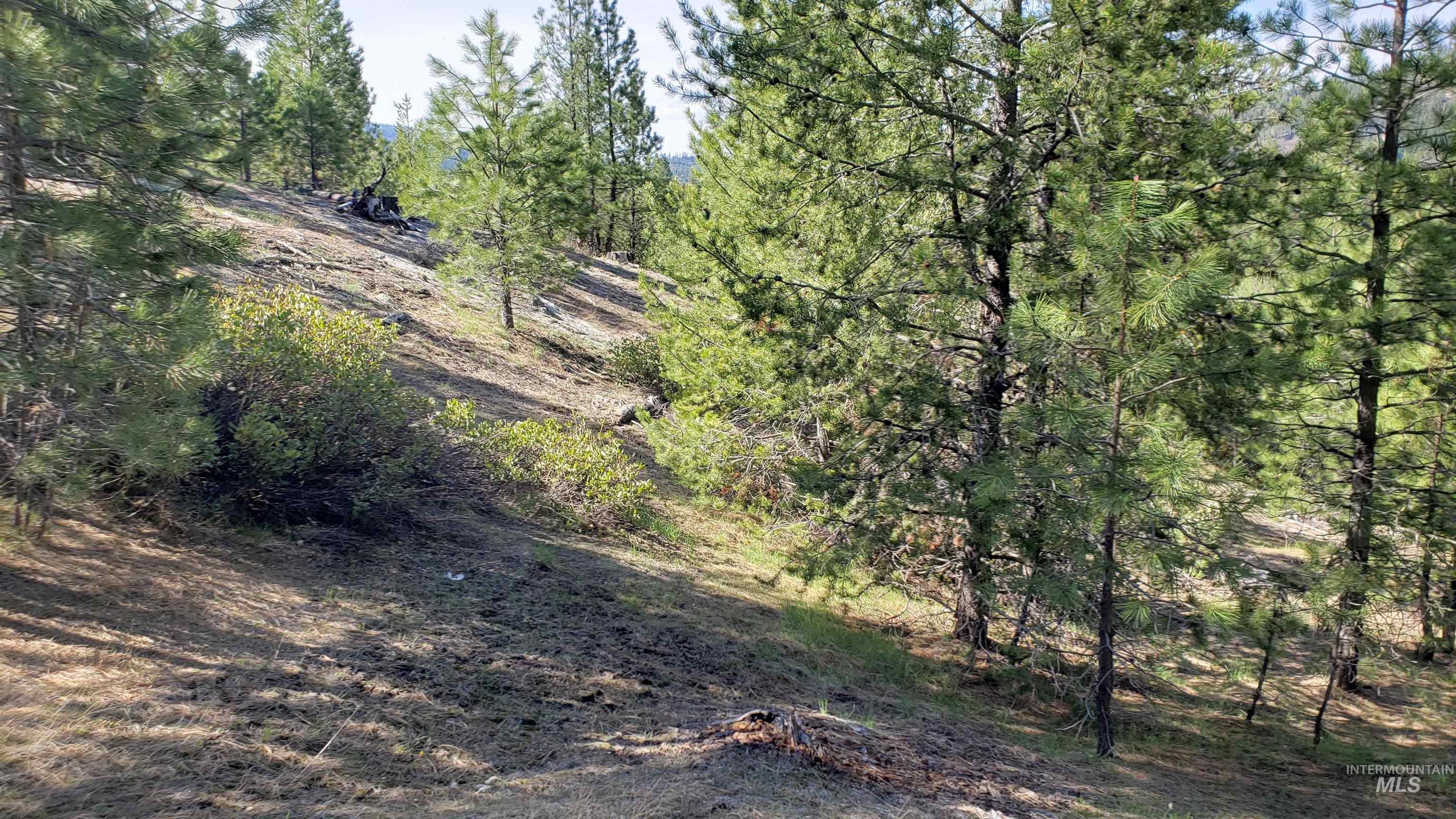 20.01 ac TBD Smith Ferry Dr, Smiths Ferry, Idaho 83611, Land For Sale, Price $375,000, 98982786