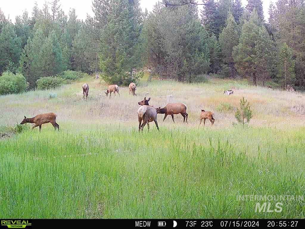 20.01 ac TBD Smith Ferry Dr, Smiths Ferry, Idaho 83611, Land For Sale, Price $375,000, 98982786