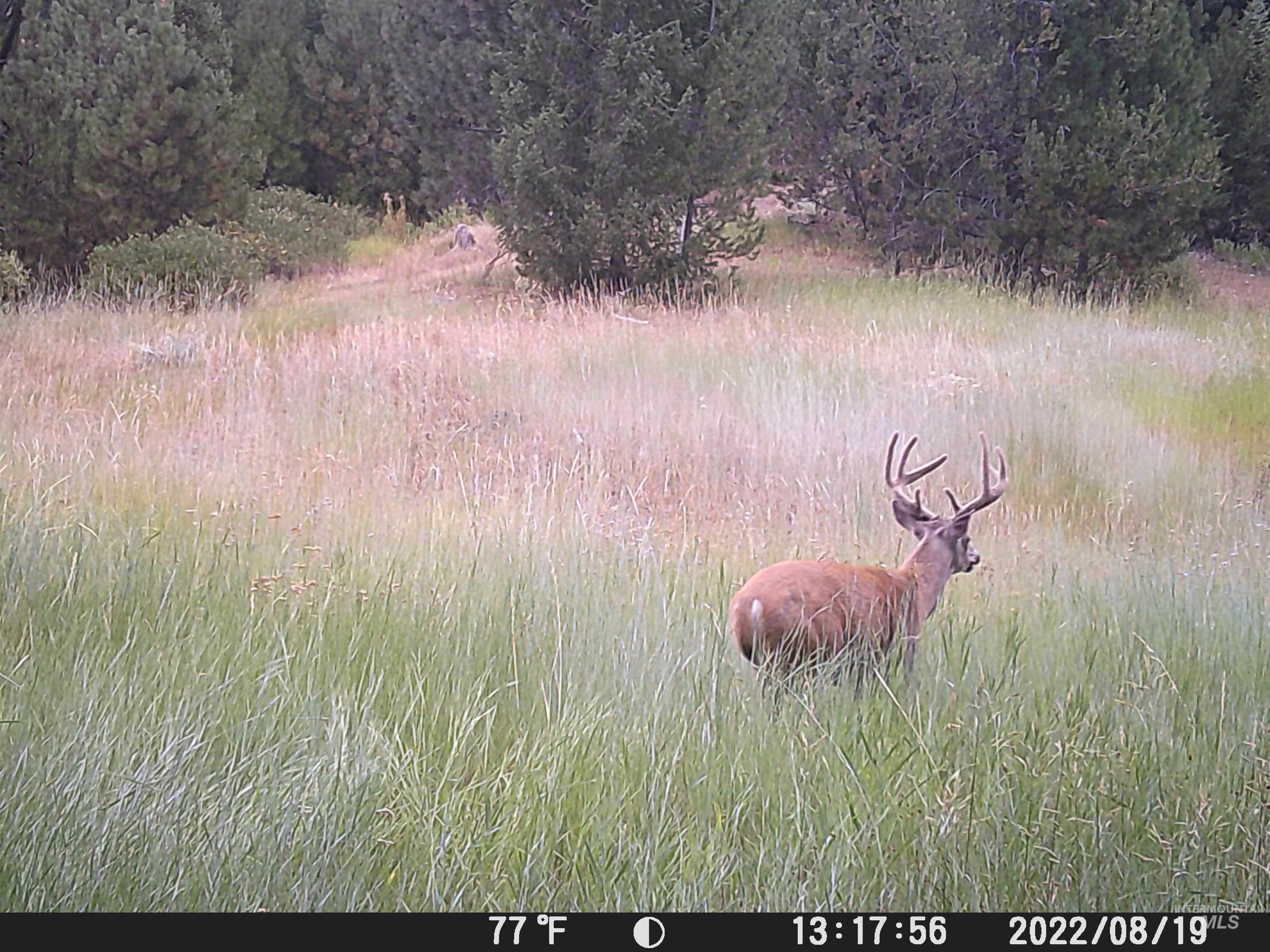 20.01 ac TBD Smith Ferry Dr, Smiths Ferry, Idaho 83611, Land For Sale, Price $375,000, 98982786