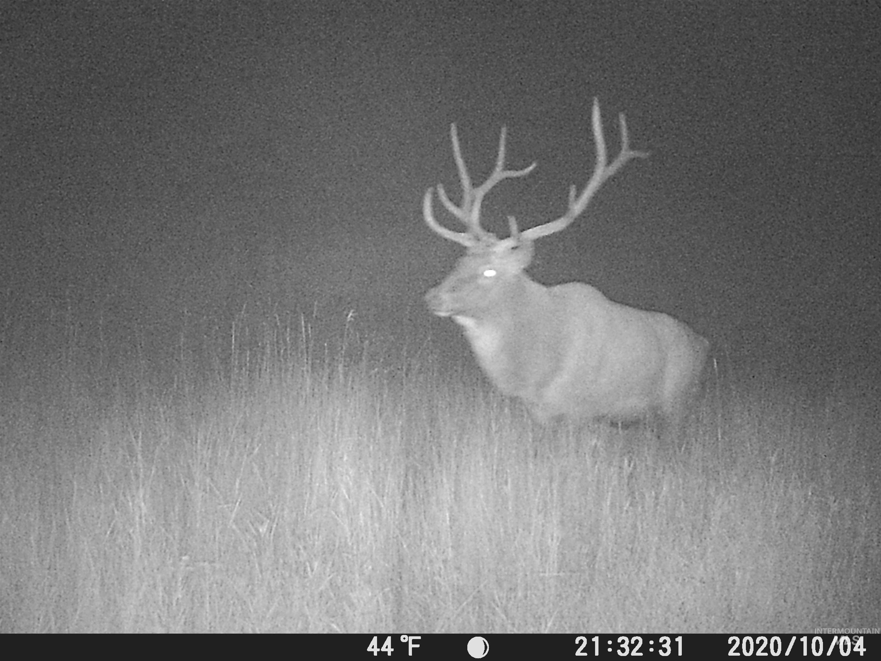 20.01 ac TBD Smith Ferry Dr, Smiths Ferry, Idaho 83611, Land For Sale, Price $375,000, 98982786