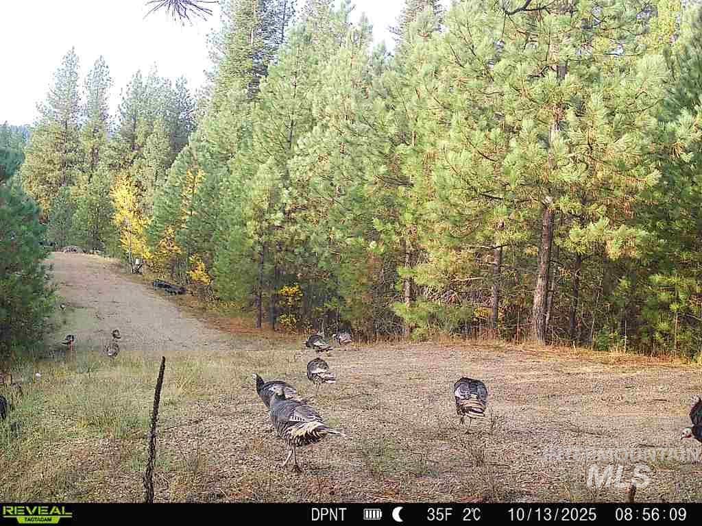 20.01 ac TBD Smith Ferry Dr, Smiths Ferry, Idaho 83611, Land For Sale, Price $375,000, 98982786
