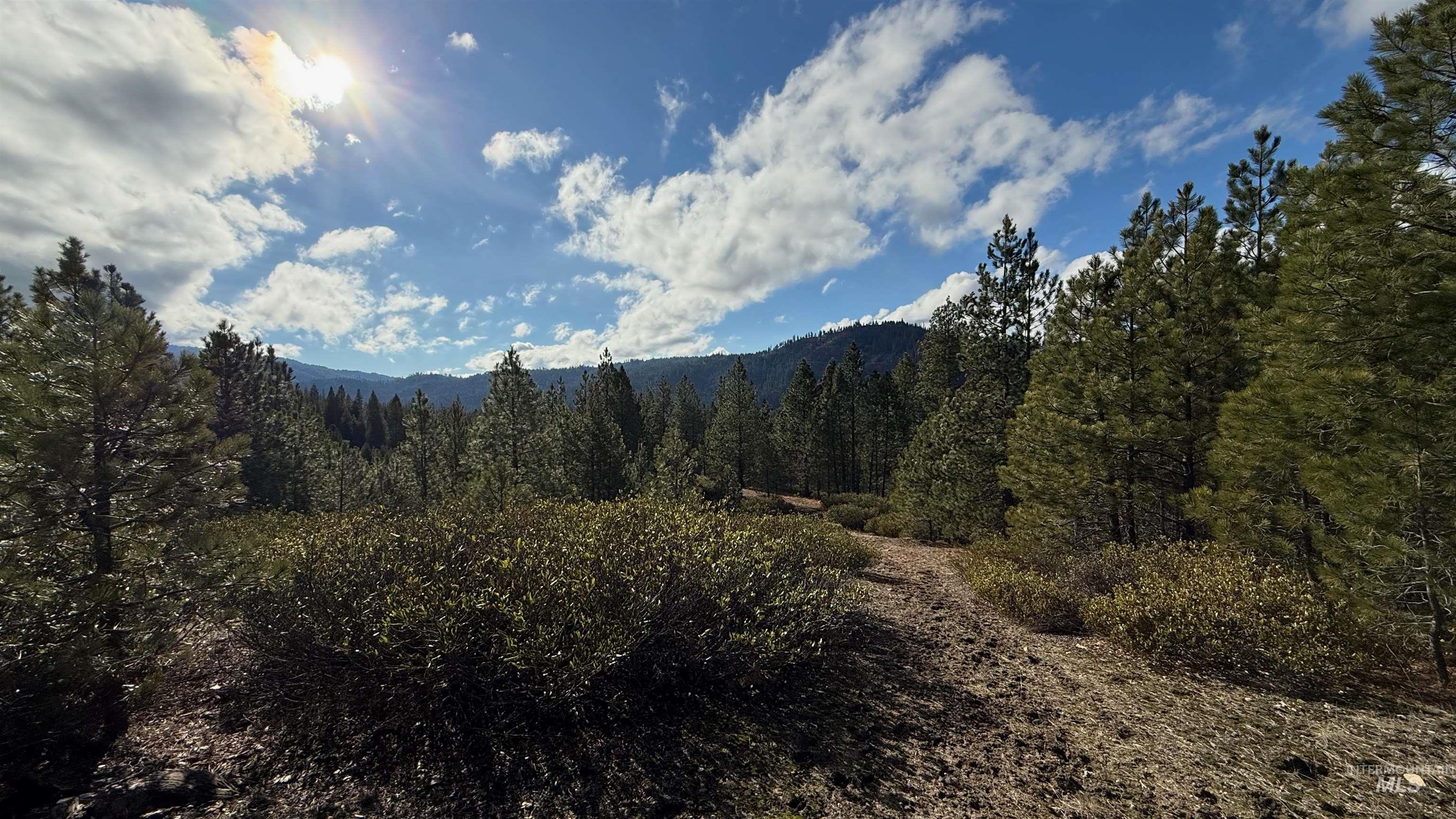 20.01 ac TBD Smith Ferry Dr, Smiths Ferry, Idaho 83611, Land For Sale, Price $375,000, 98982786