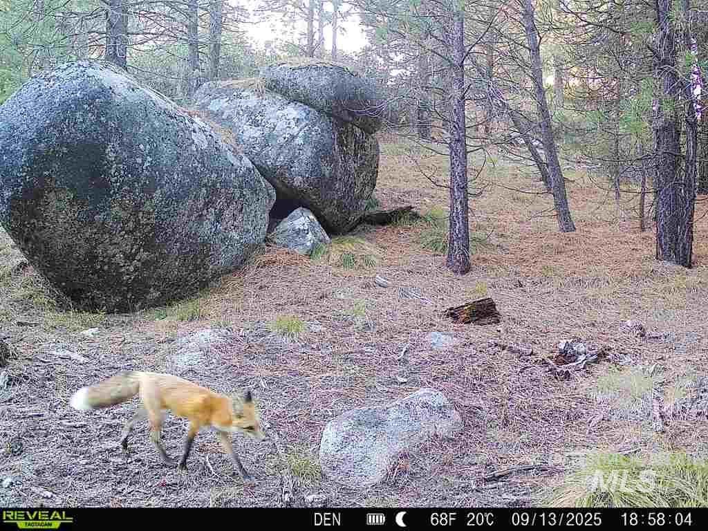 20.01 ac TBD Smith Ferry Dr, Smiths Ferry, Idaho 83611, Land For Sale, Price $375,000, 98982786