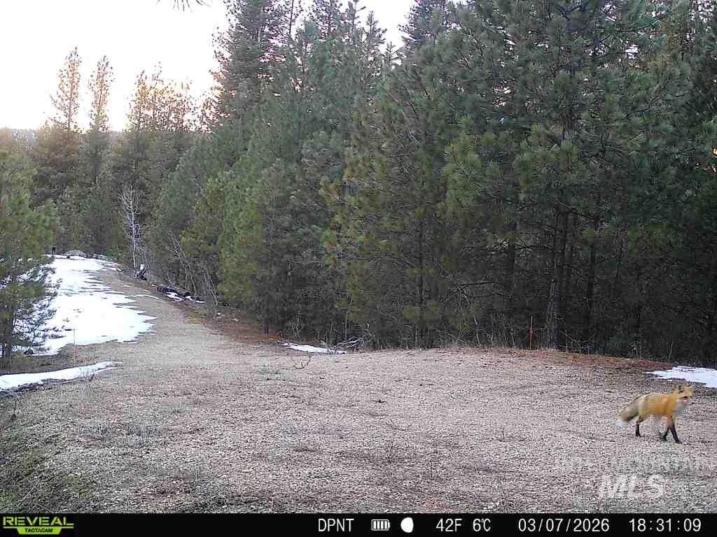 20.01 ac TBD Smith Ferry Dr, Smiths Ferry, Idaho 83611, Land For Sale, Price $375,000, 98982786
