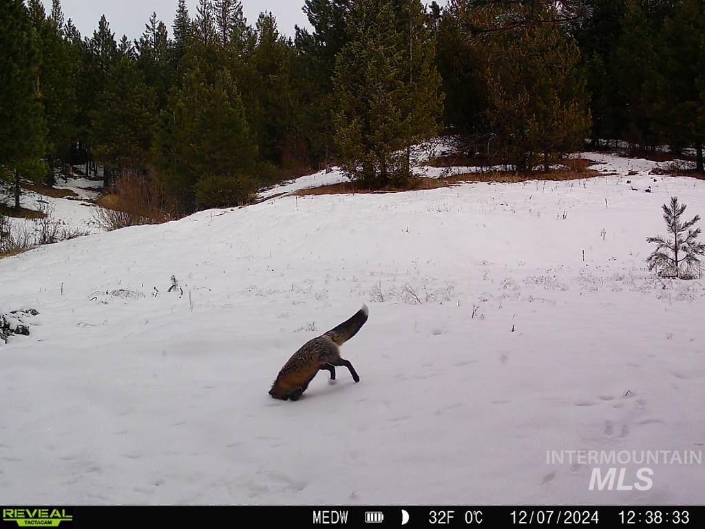 20.01 ac TBD Smith Ferry Dr, Smiths Ferry, Idaho 83611, Land For Sale, Price $375,000, 98982786