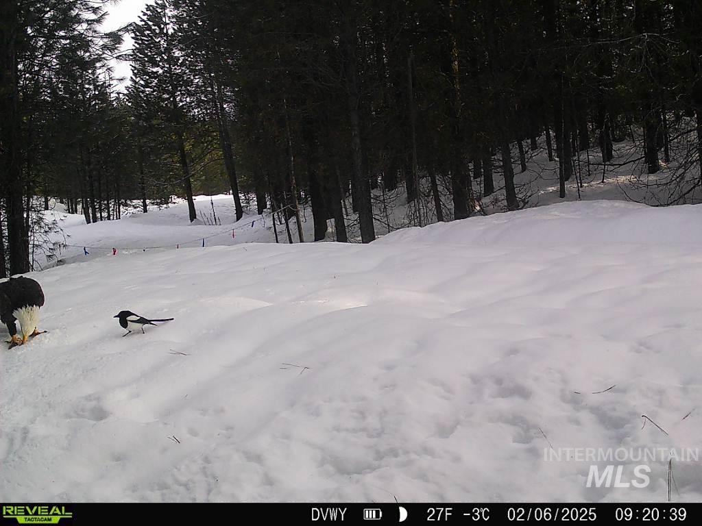 20.01 ac TBD Smith Ferry Dr, Smiths Ferry, Idaho 83611, Land For Sale, Price $375,000, 98982786