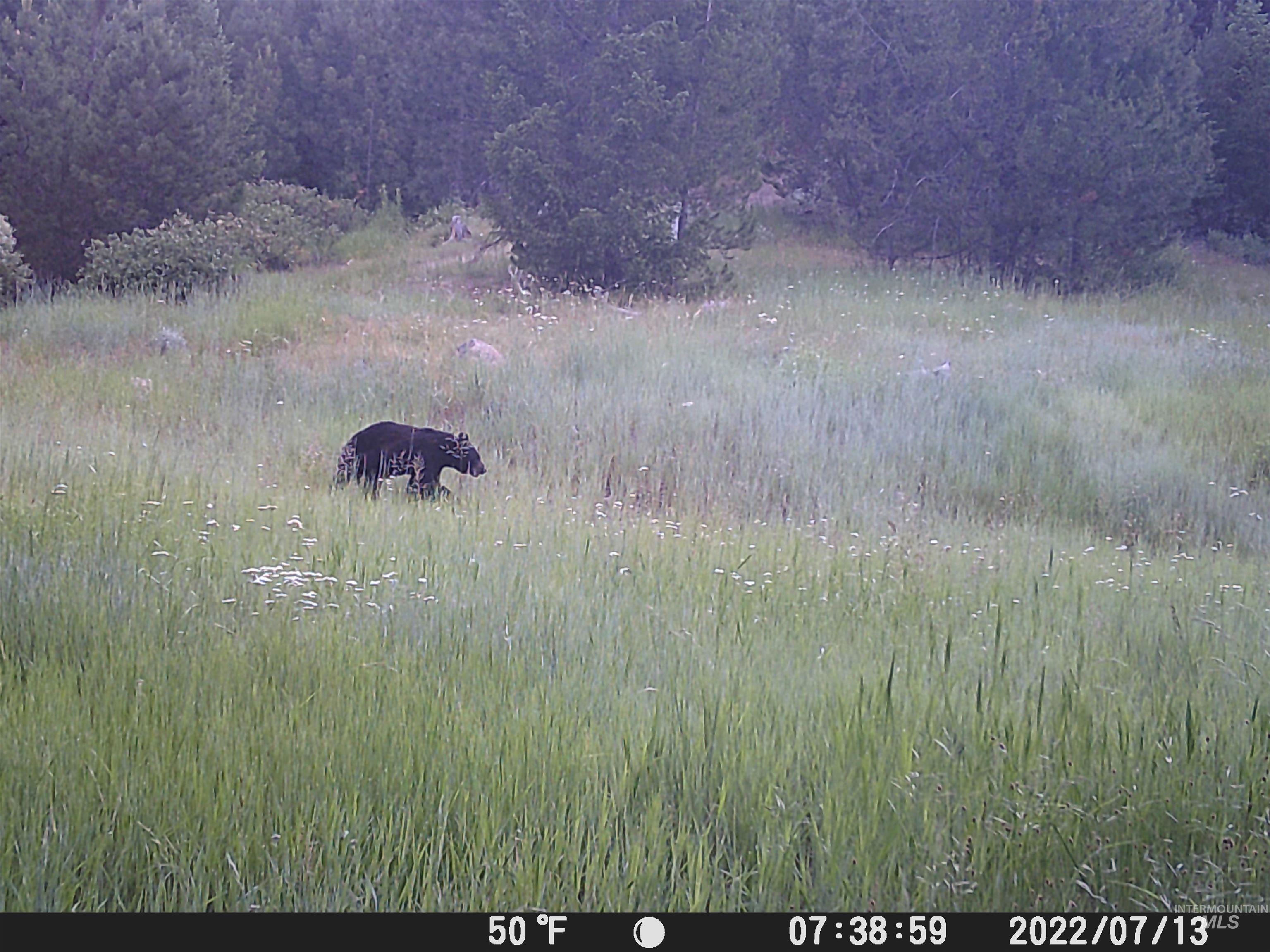 20.01 ac TBD Smith Ferry Dr, Smiths Ferry, Idaho 83611, Land For Sale, Price $375,000, 98982786