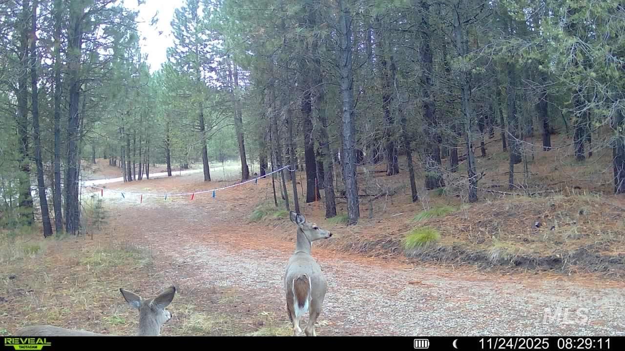 20.01 ac TBD Smith Ferry Dr, Smiths Ferry, Idaho 83611, Land For Sale, Price $375,000, 98982786