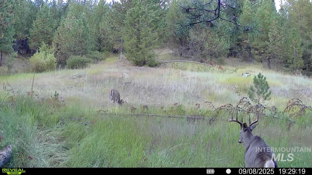 20.01 ac TBD Smith Ferry Dr, Smiths Ferry, Idaho 83611, Land For Sale, Price $375,000, 98982786