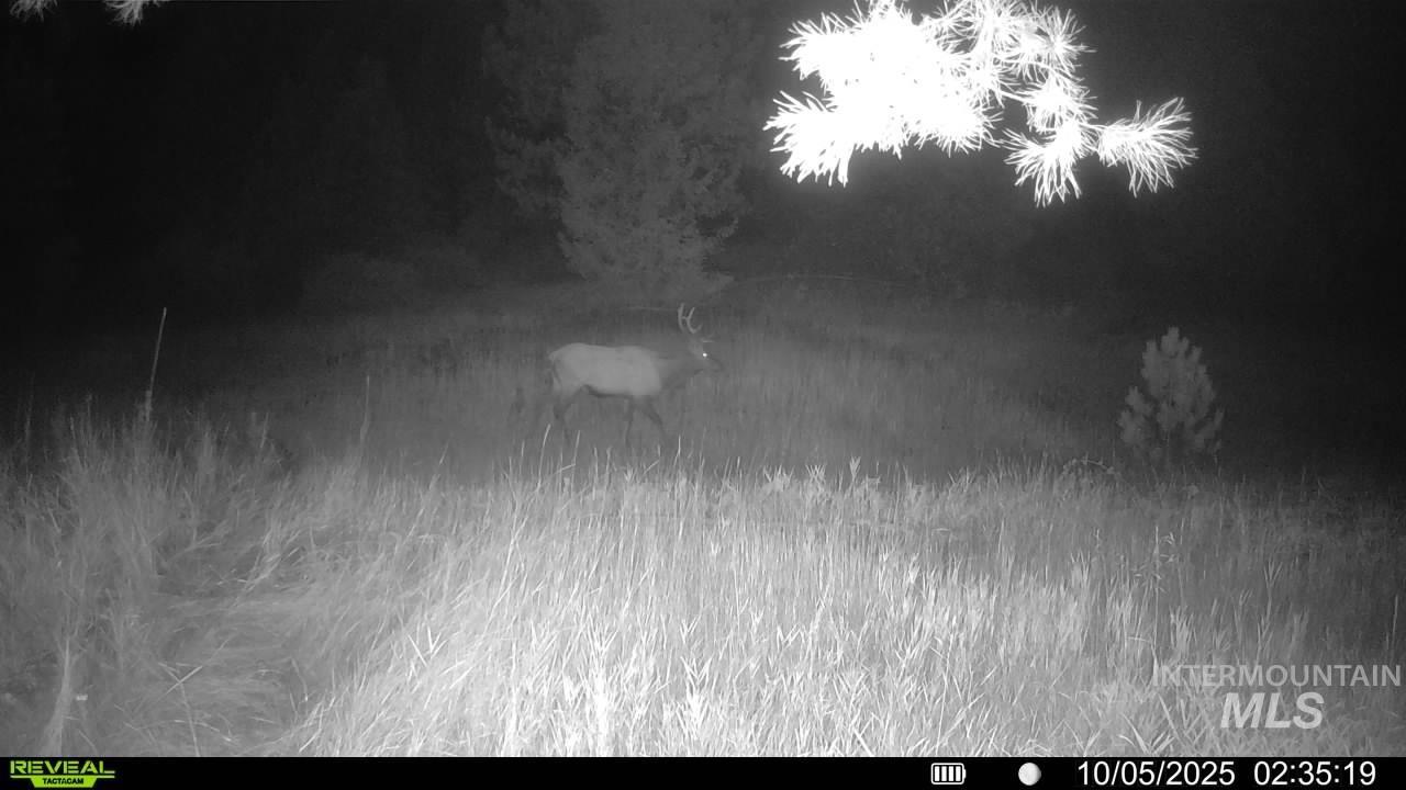 20.01 ac TBD Smith Ferry Dr, Smiths Ferry, Idaho 83611, Land For Sale, Price $375,000, 98982786