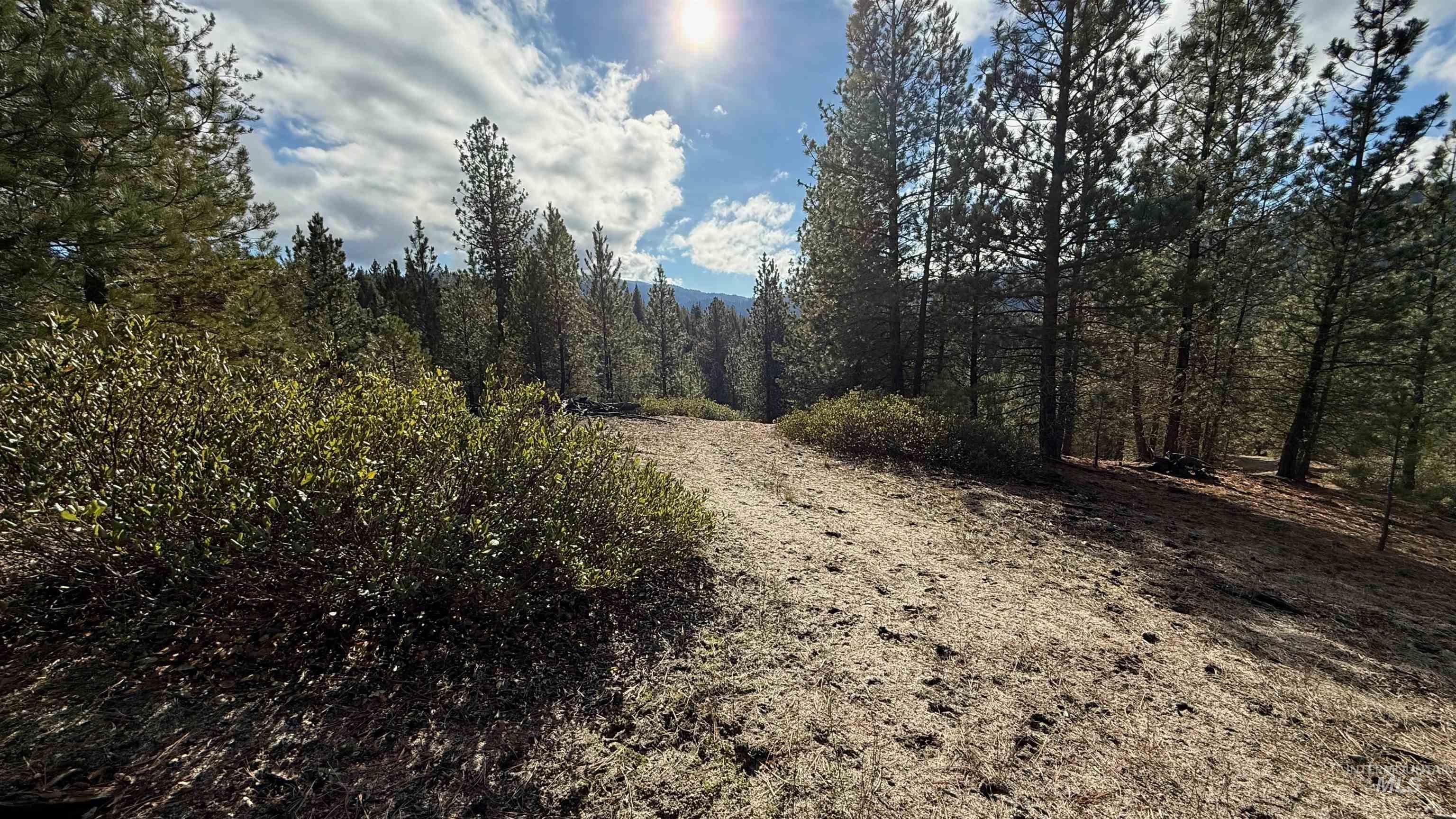 20.01 ac TBD Smith Ferry Dr, Smiths Ferry, Idaho 83611, Land For Sale, Price $375,000, 98982786