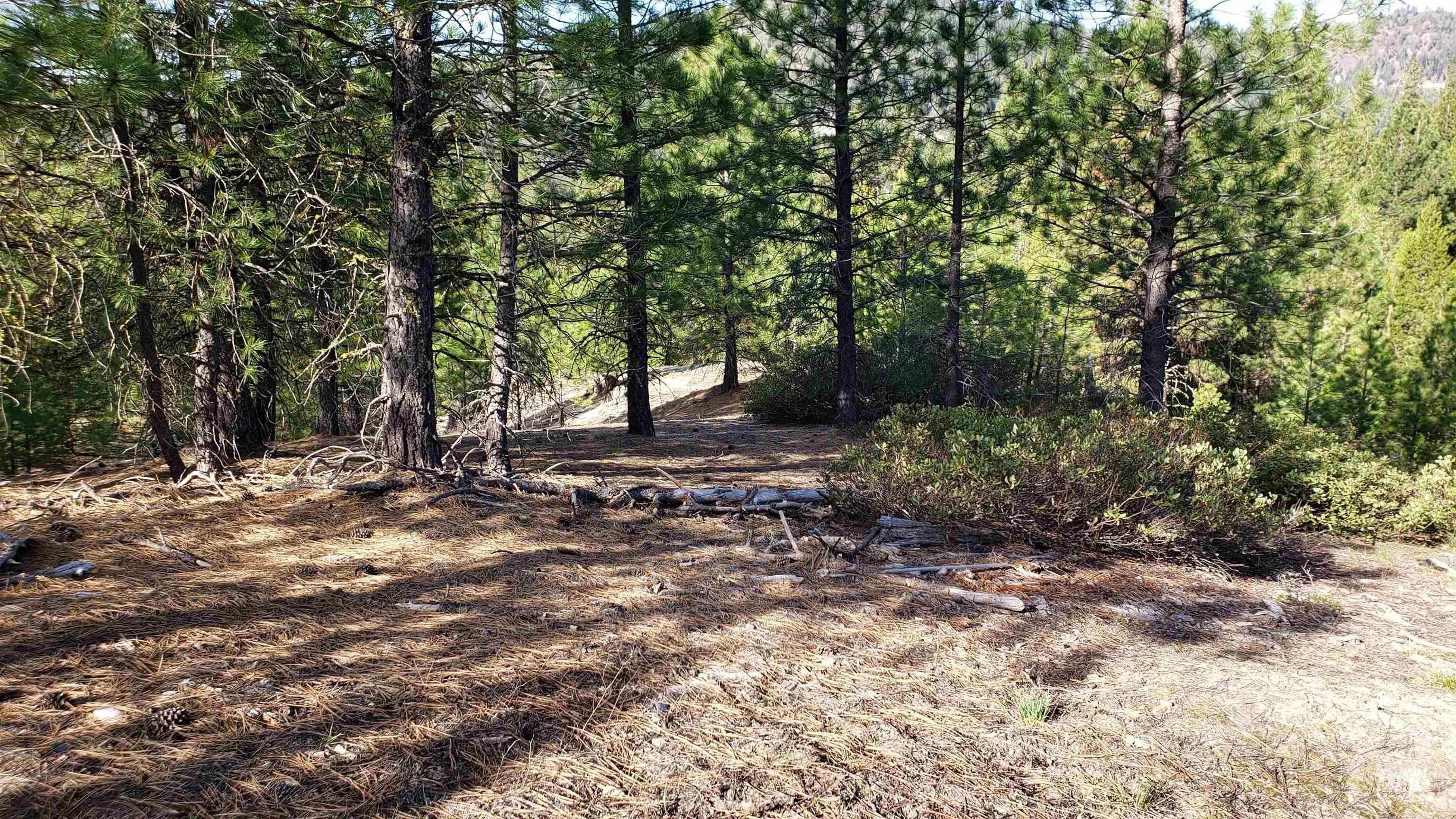 20.01 ac TBD Smith Ferry Dr, Smiths Ferry, Idaho 83611, Land For Sale, Price $375,000, 98982786