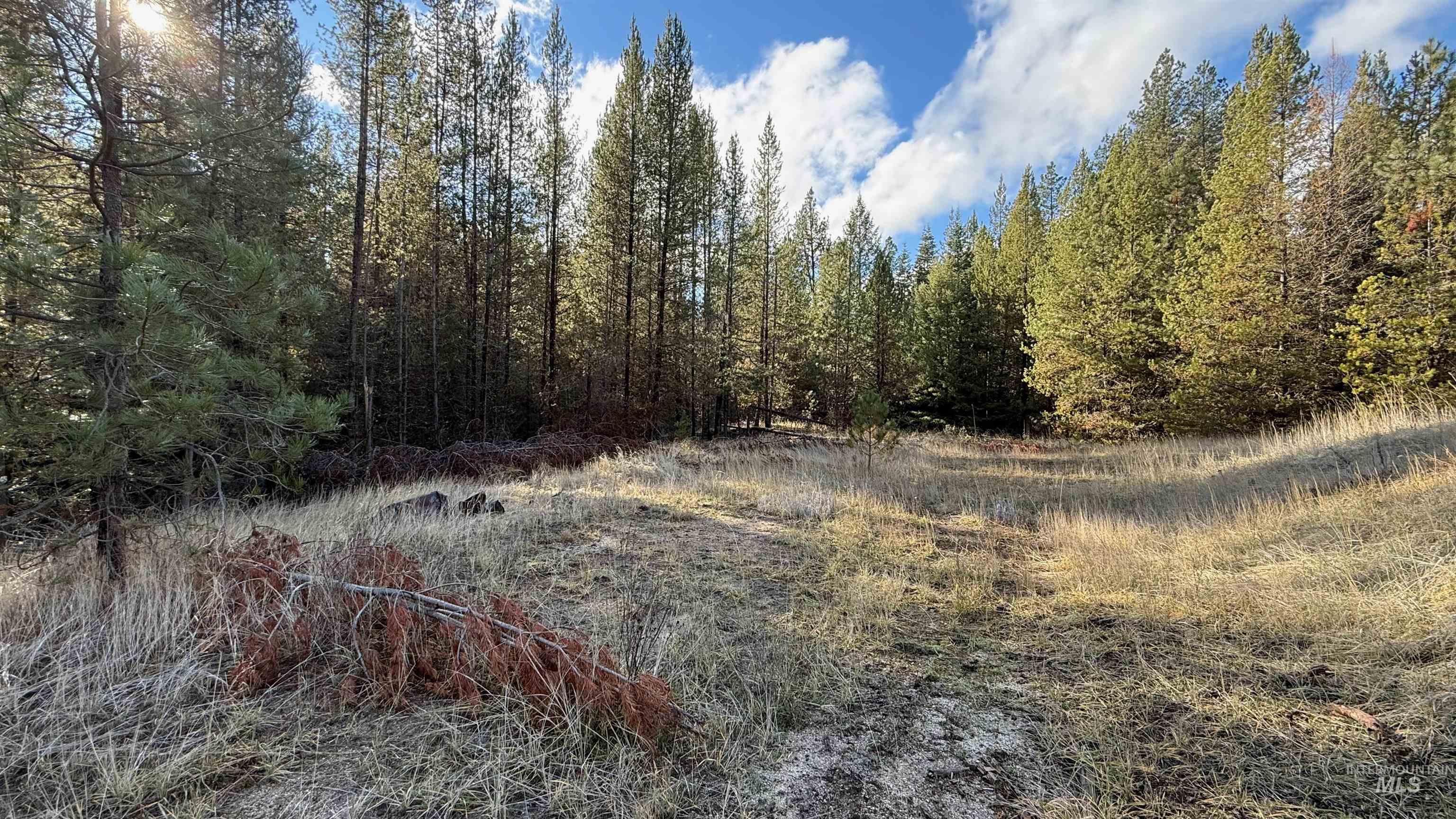 20.01 ac TBD Smith Ferry Dr, Smiths Ferry, Idaho 83611, Land For Sale, Price $375,000, 98982786